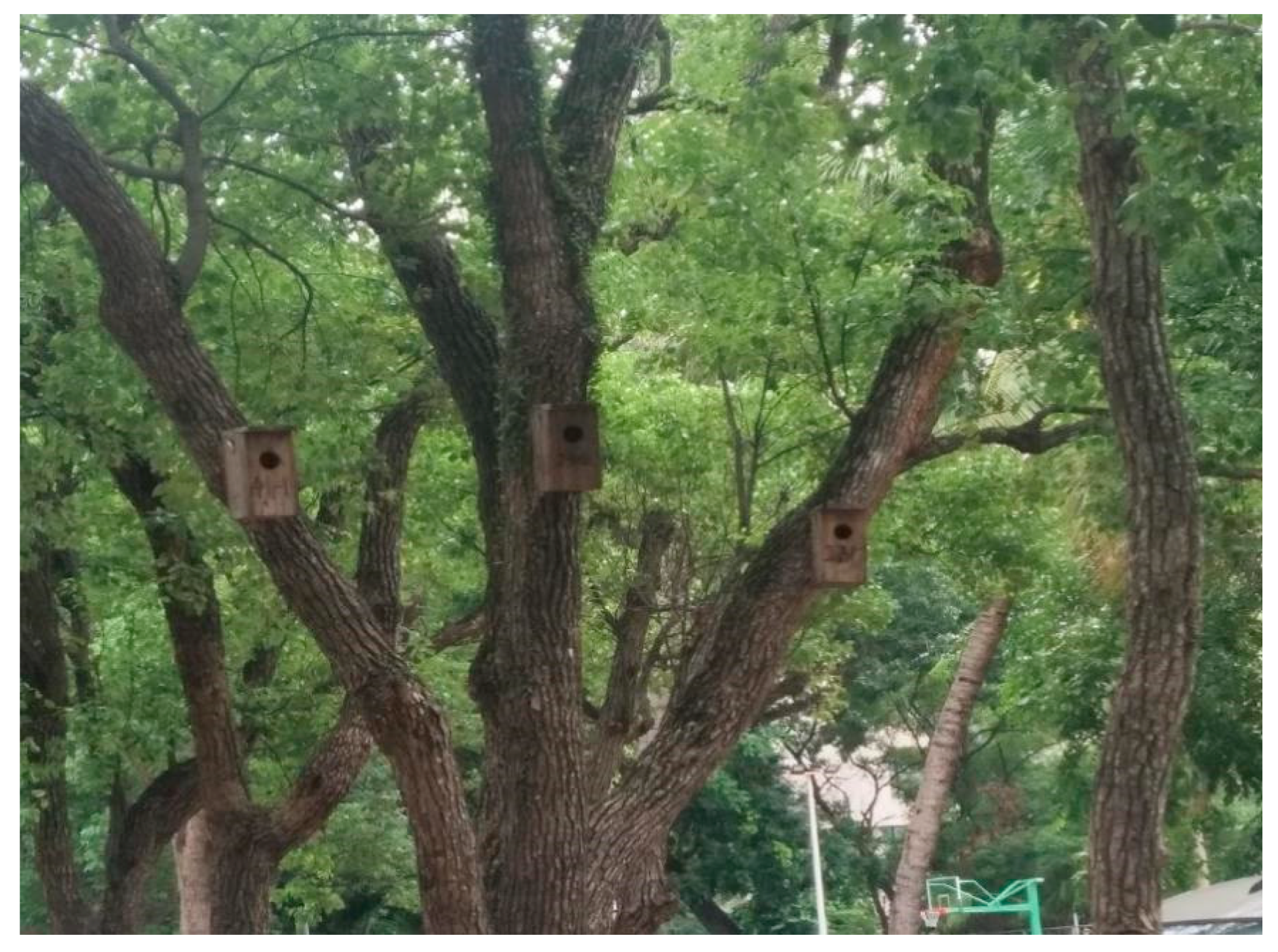 Animals 13 01337 g003