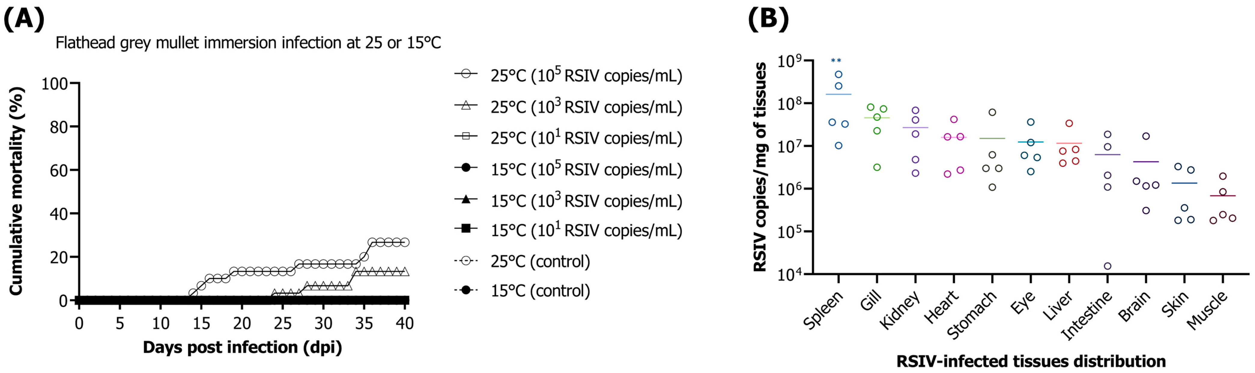 Animals 13 01341 g001