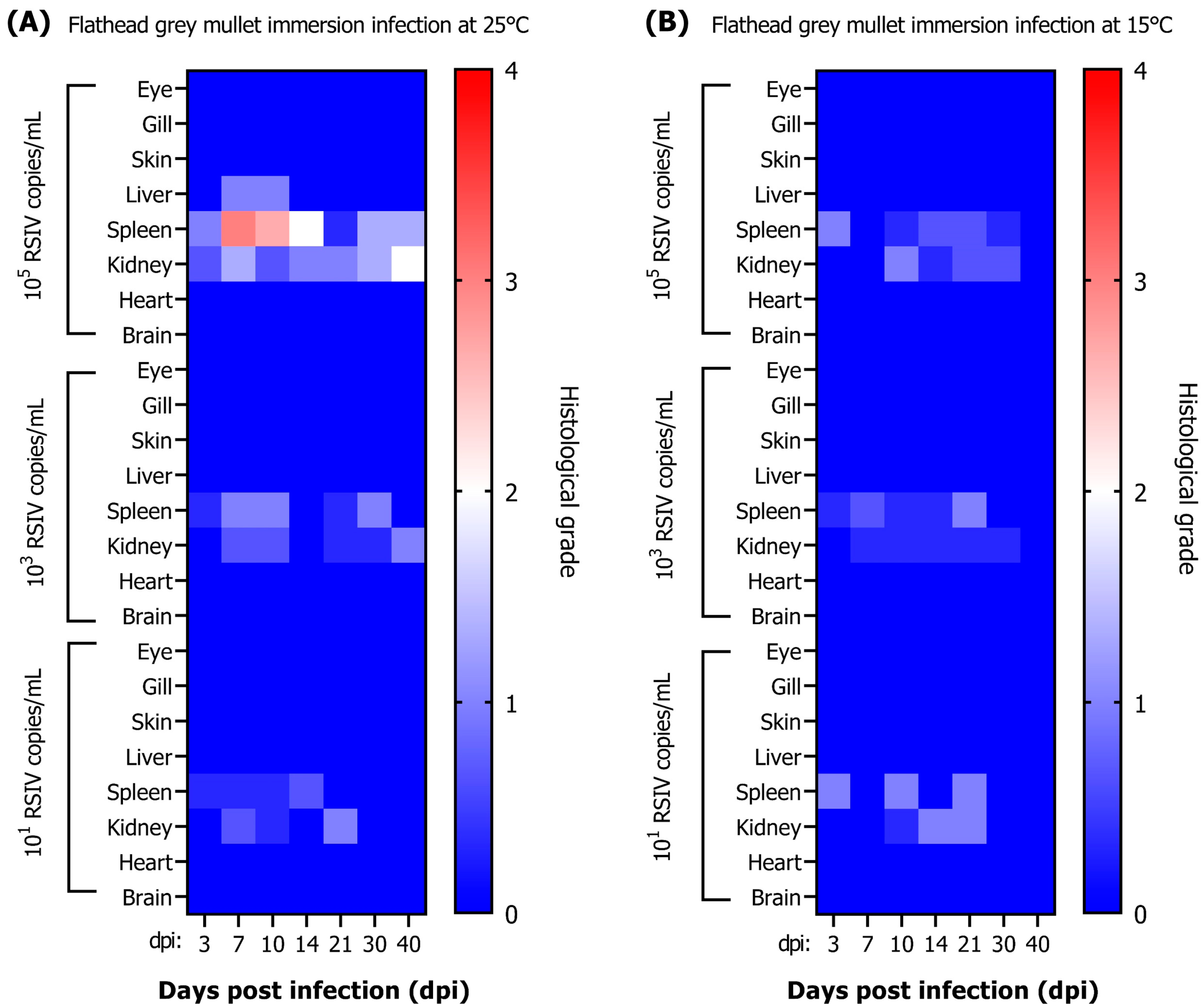 Animals 13 01341 g003