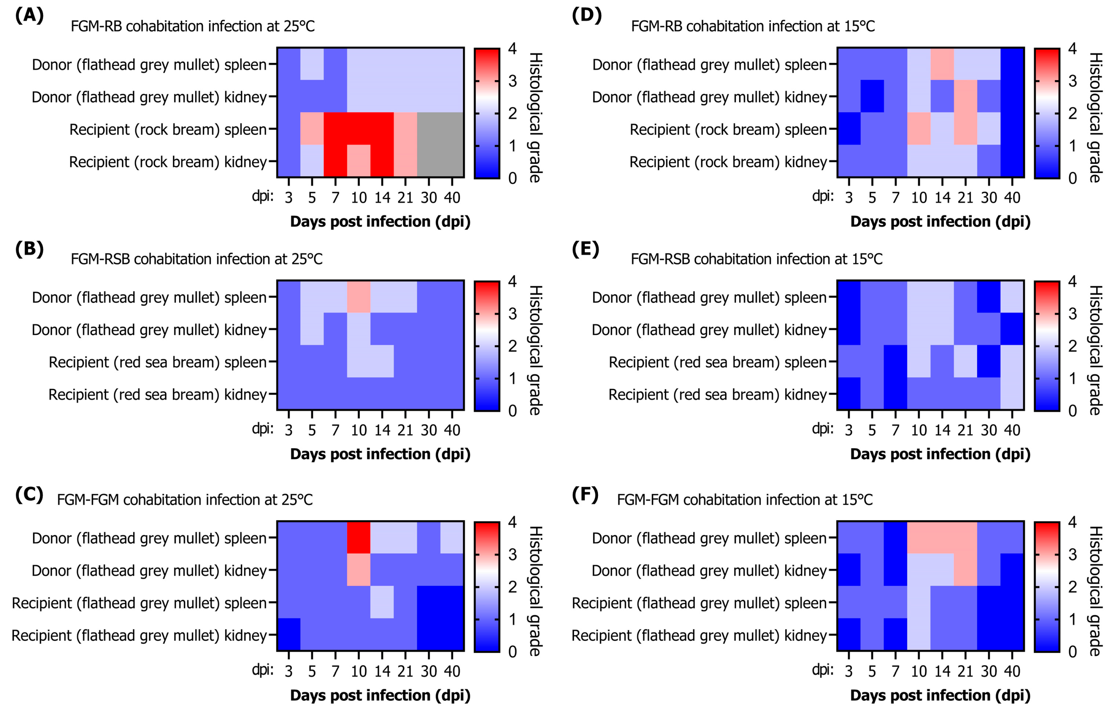 Animals 13 01341 g007