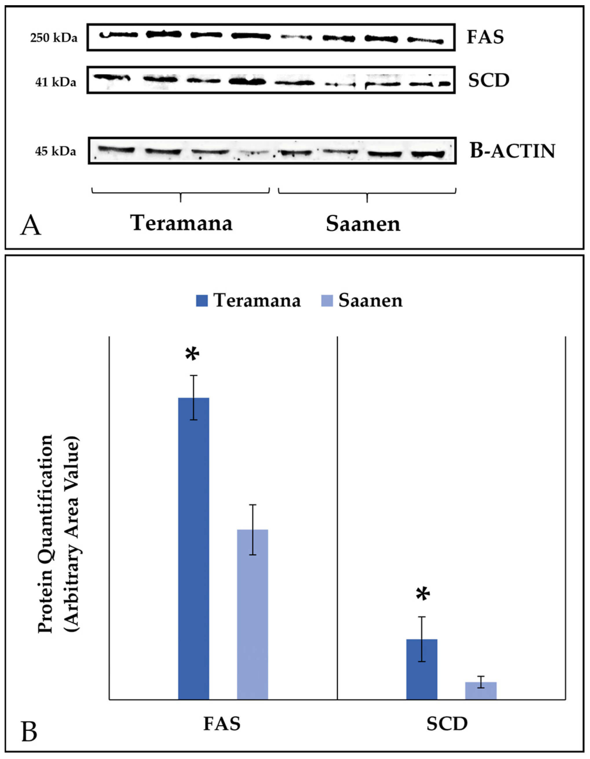 Animals 13 01344 g001 Animals 13 01344 g001