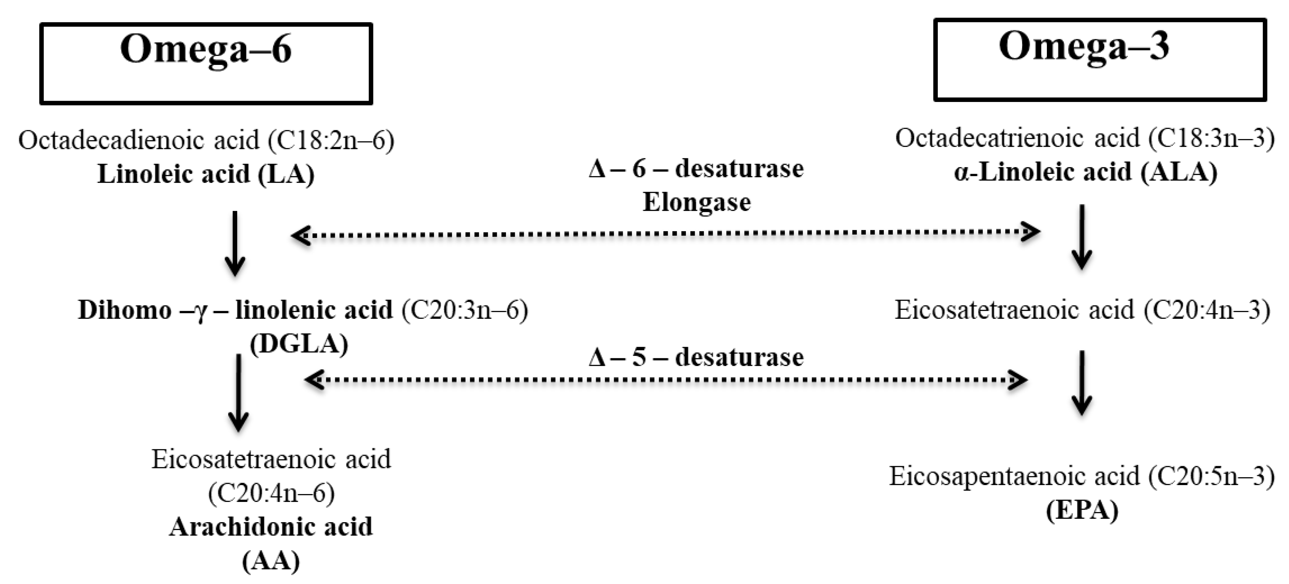 Animals 13 01347 g001