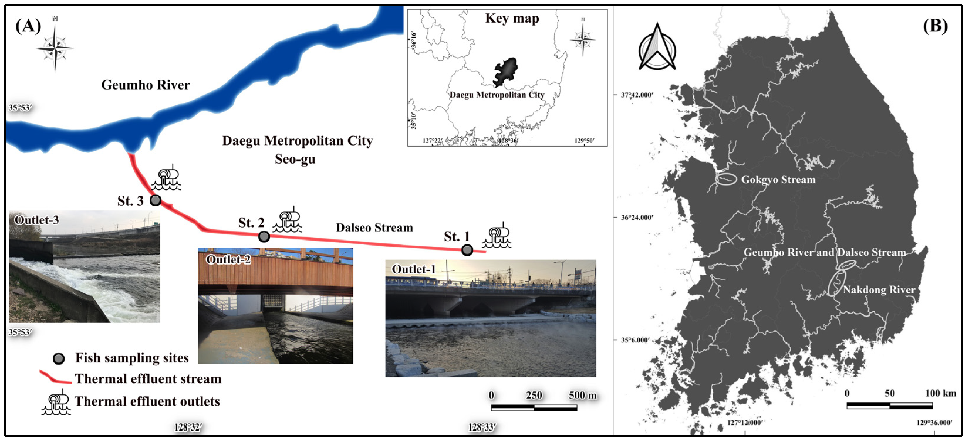 Animals 13 01351 g001