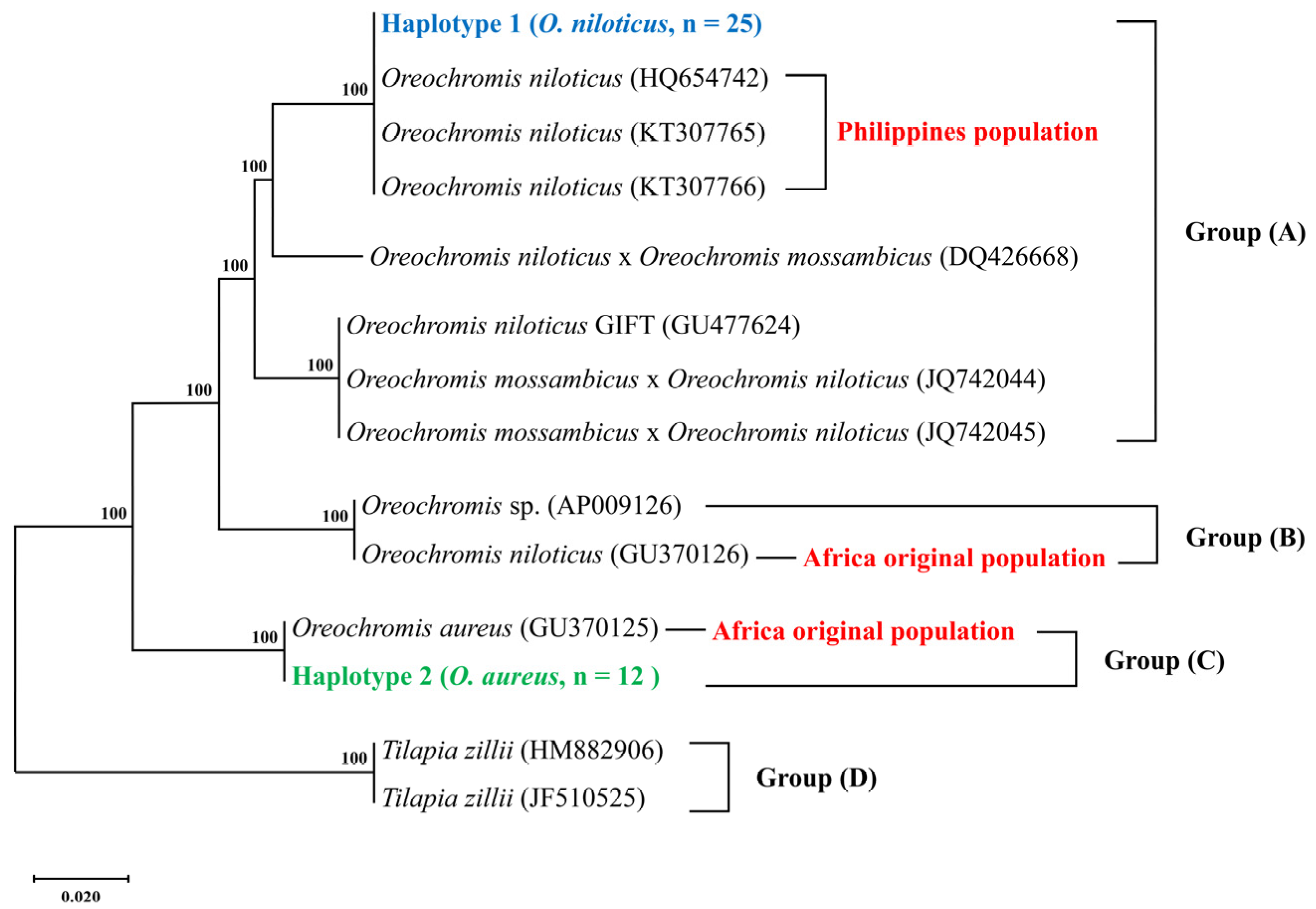 Animals 13 01351 g004