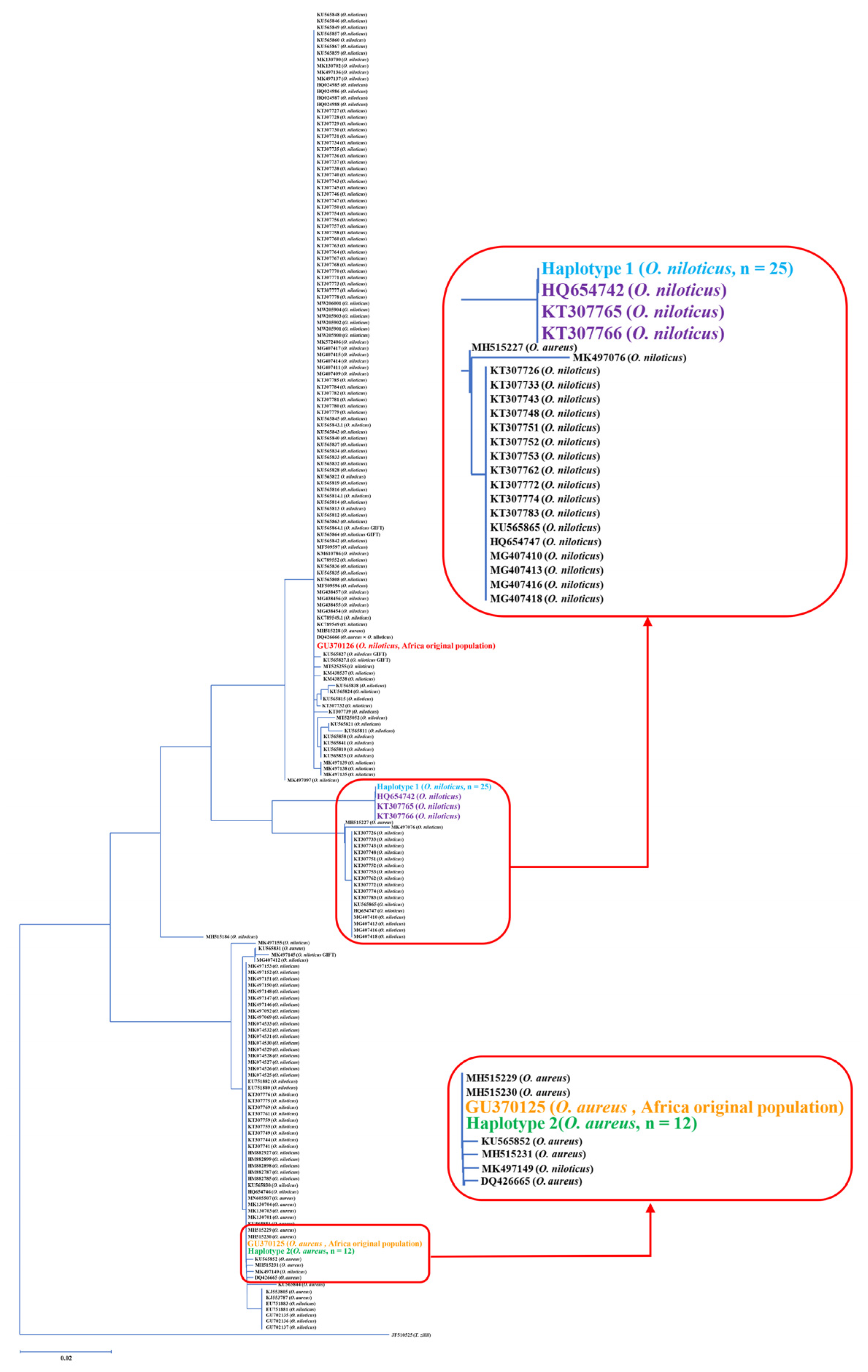 Animals 13 01351 g005