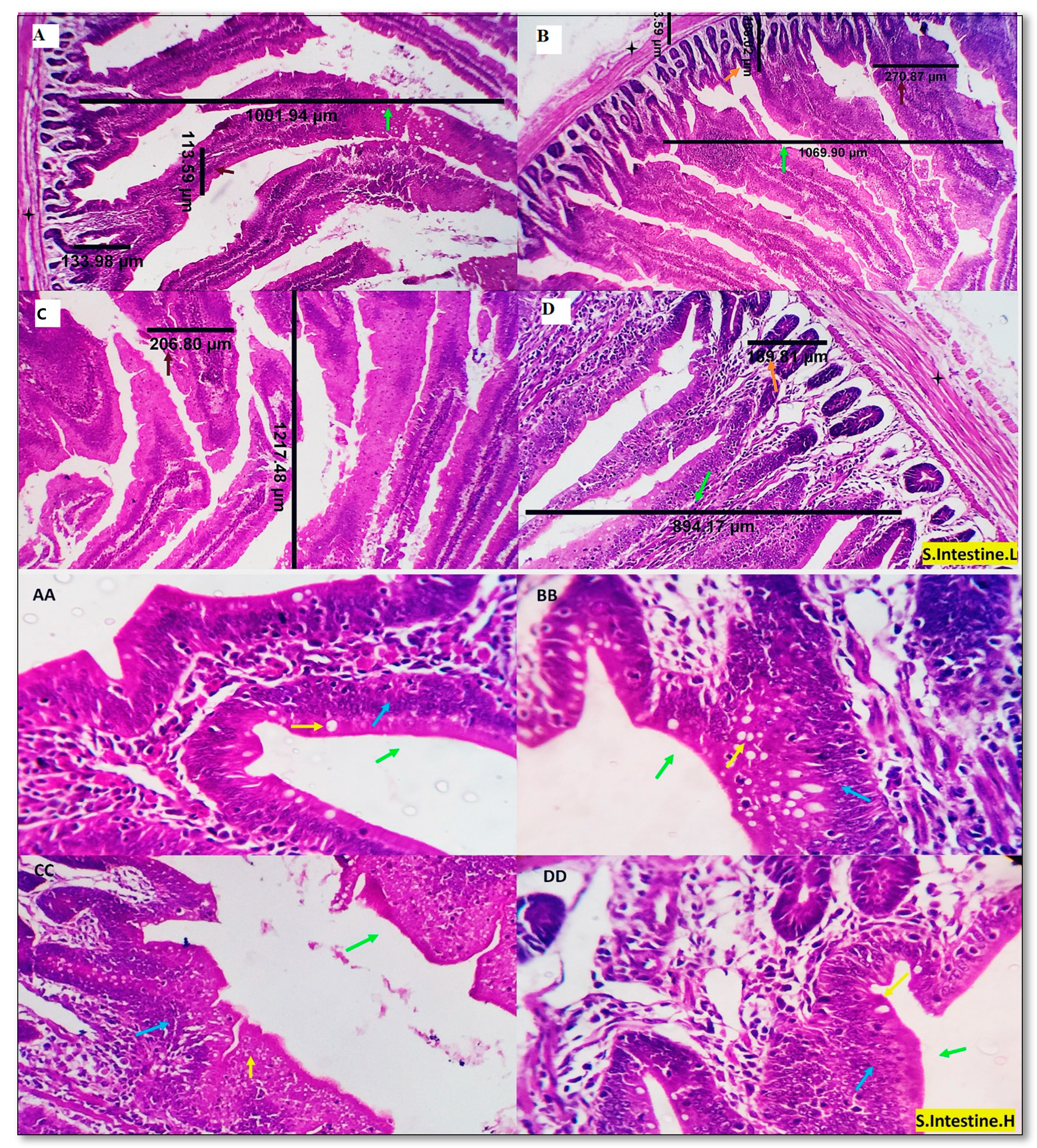 Animals 13 01356 g002