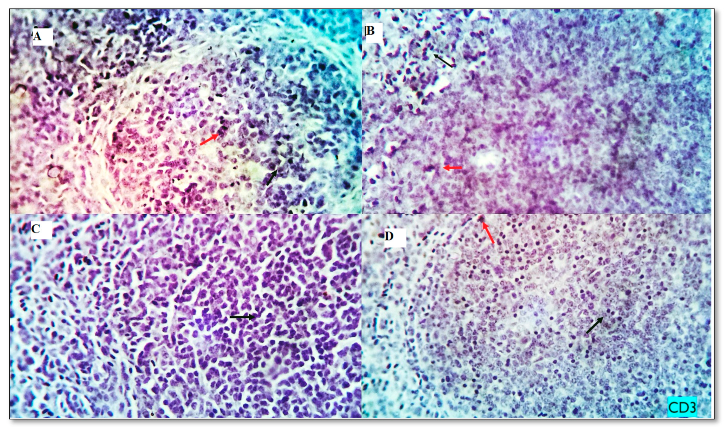 Animals 13 01356 g004