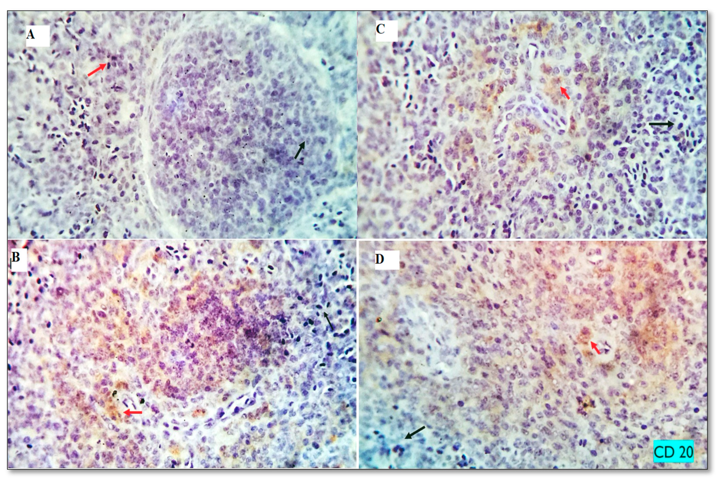 Animals 13 01356 g005