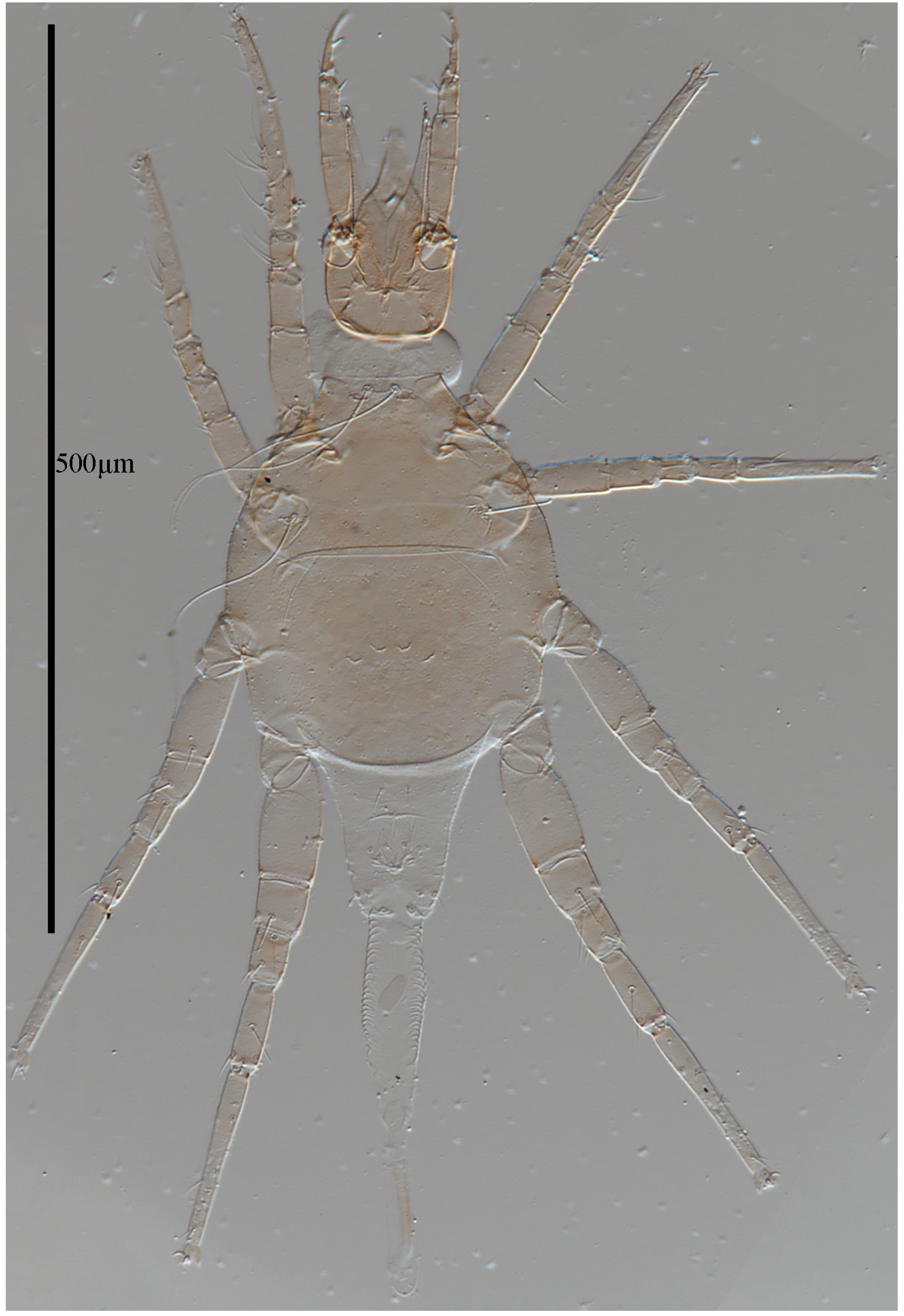 Animals 13 01363 g001 Animals 13 01363 g001