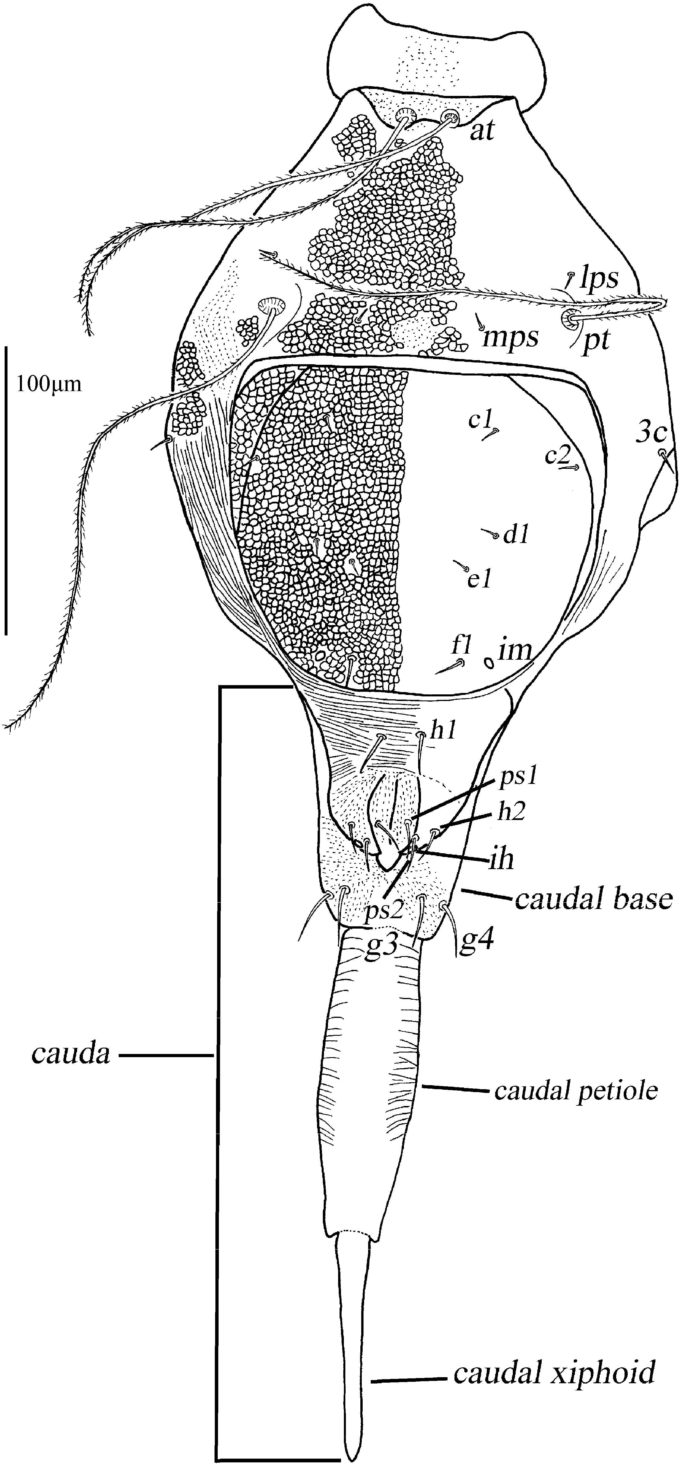 Animals 13 01363 g002 Animals 13 01363 g002