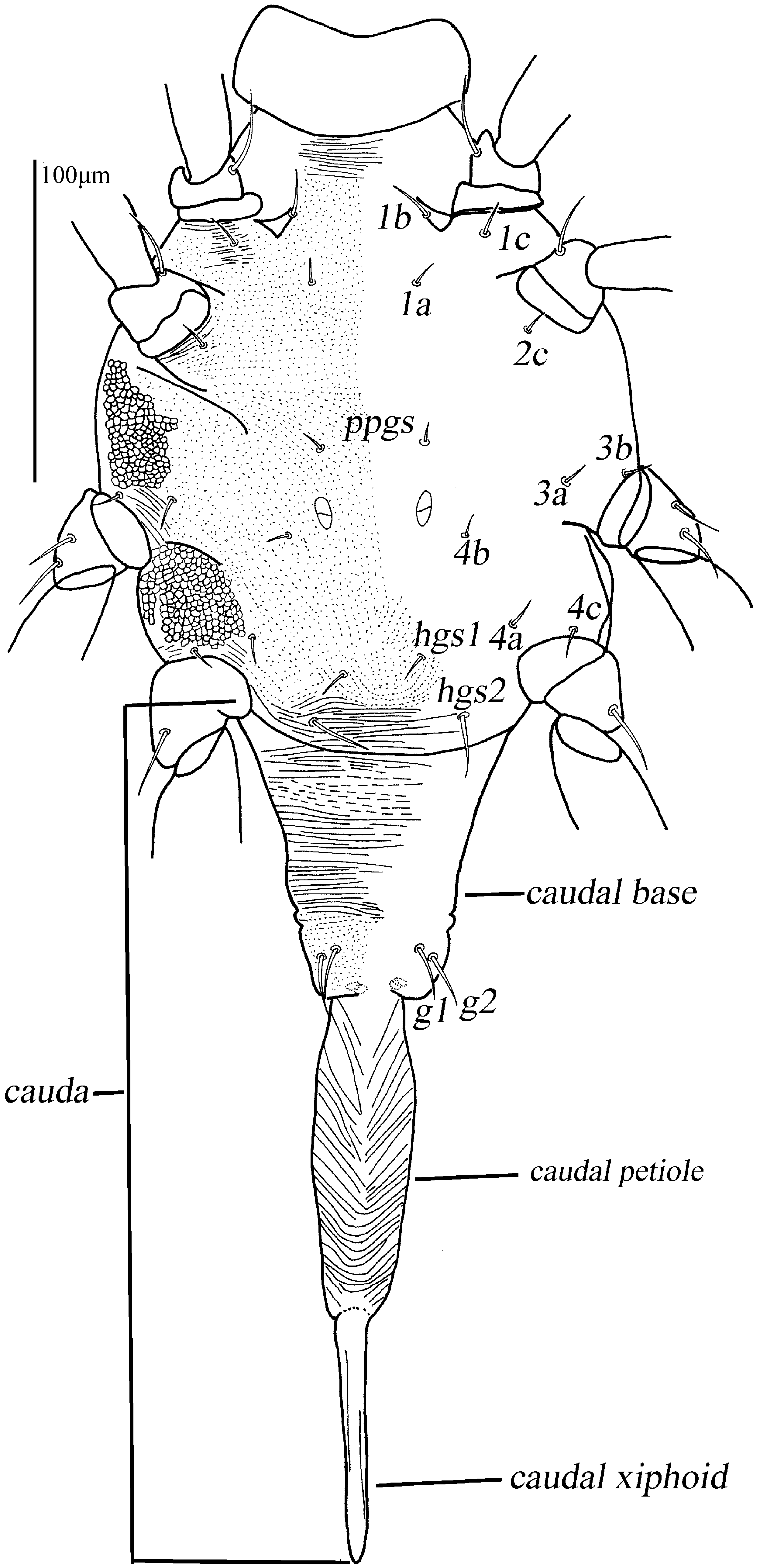 Animals 13 01363 g004 Animals 13 01363 g004