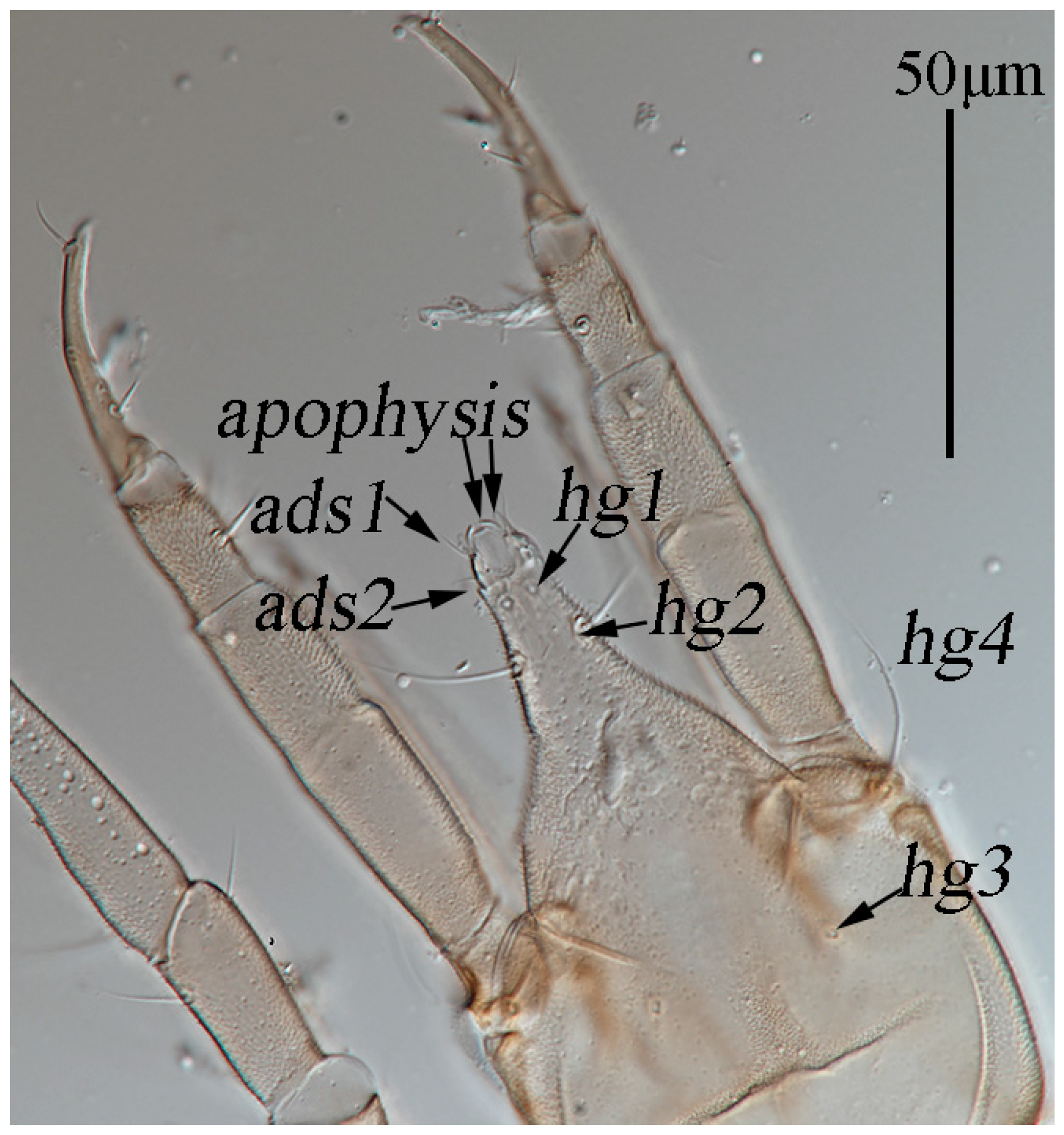 Animals 13 01363 g006 Animals 13 01363 g006