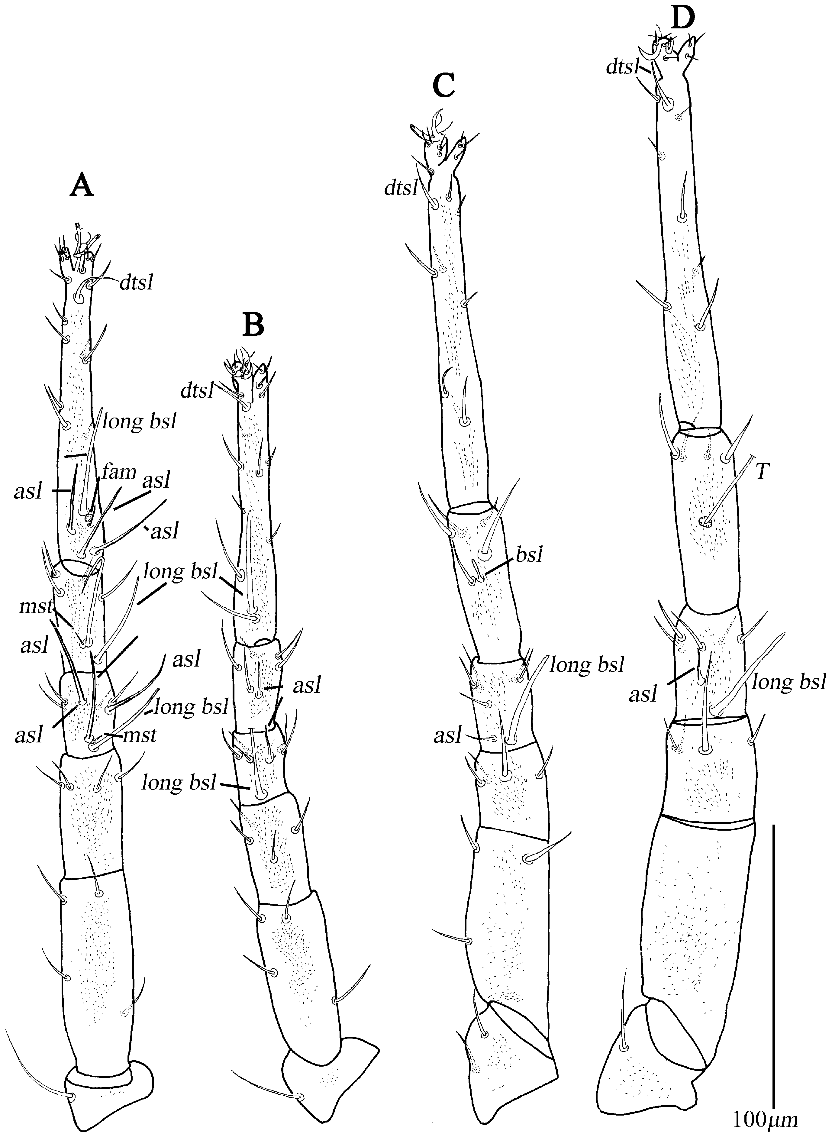 Animals 13 01363 g008 Animals 13 01363 g008