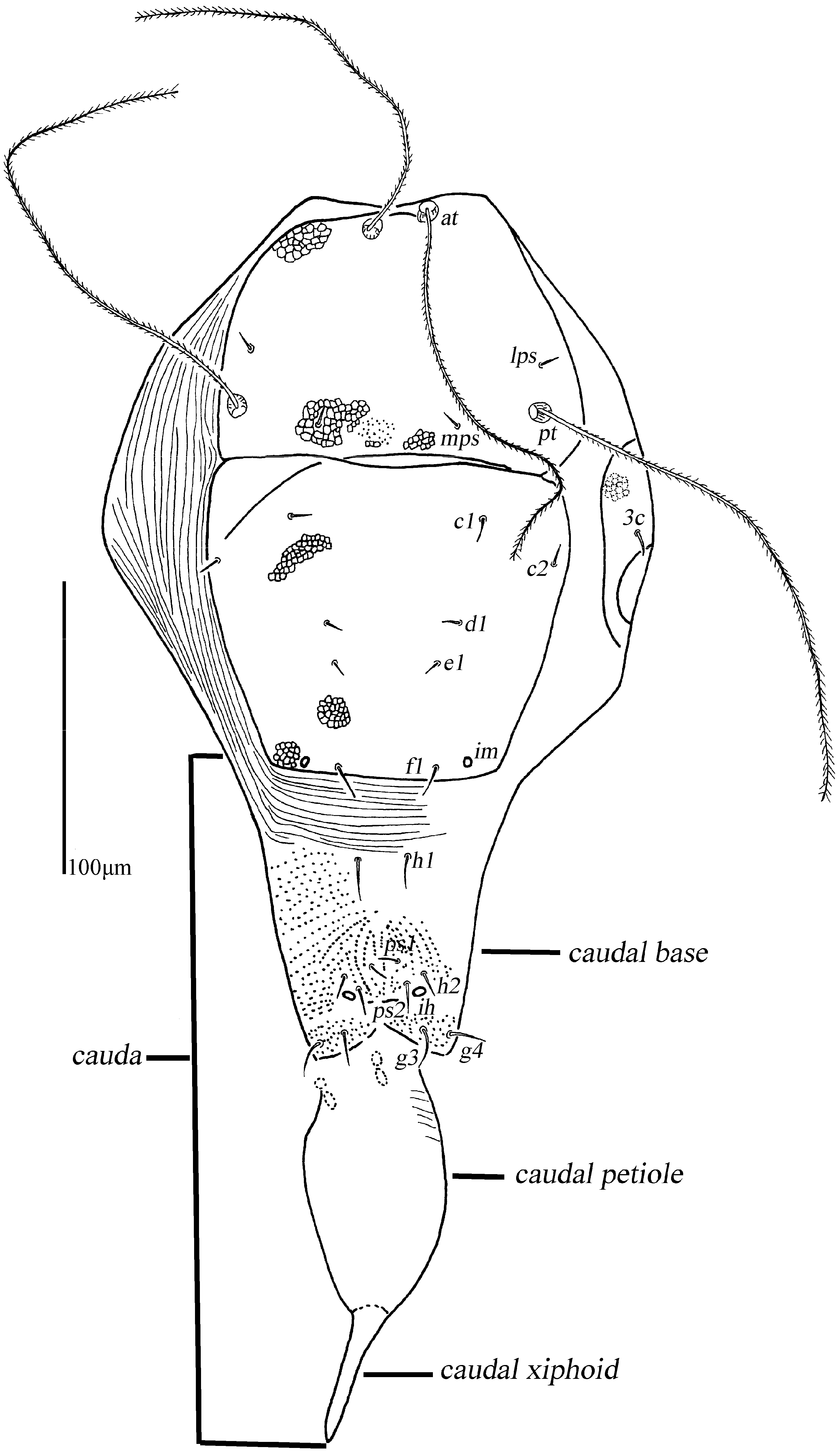 Animals 13 01363 g009 Animals 13 01363 g009
