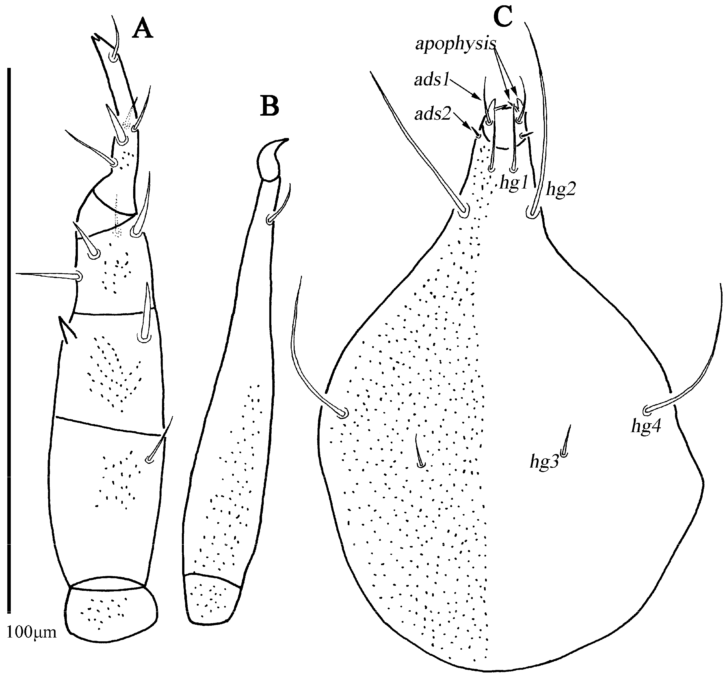 Animals 13 01363 g012 Animals 13 01363 g012