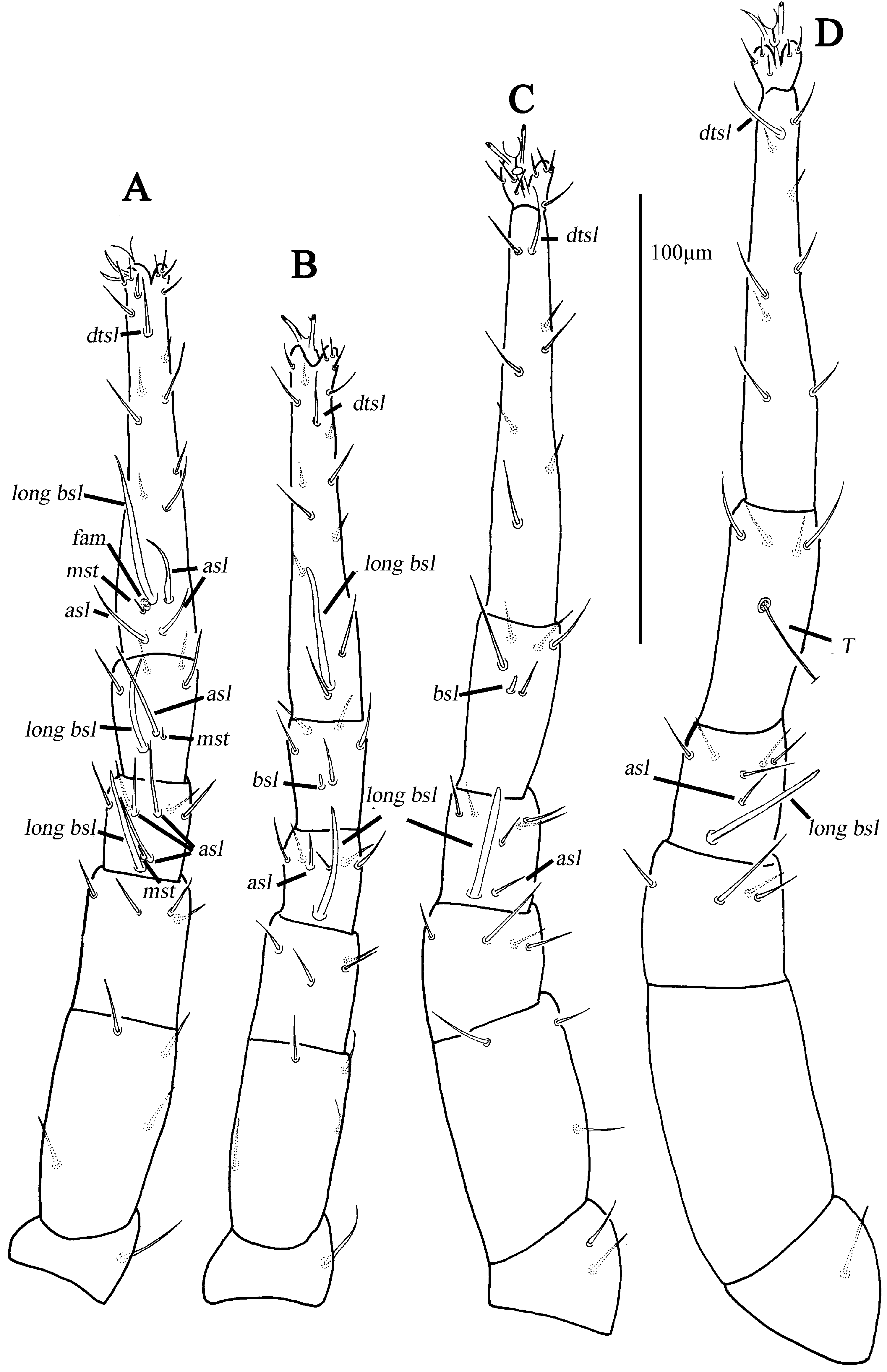 Animals 13 01363 g013 Animals 13 01363 g013
