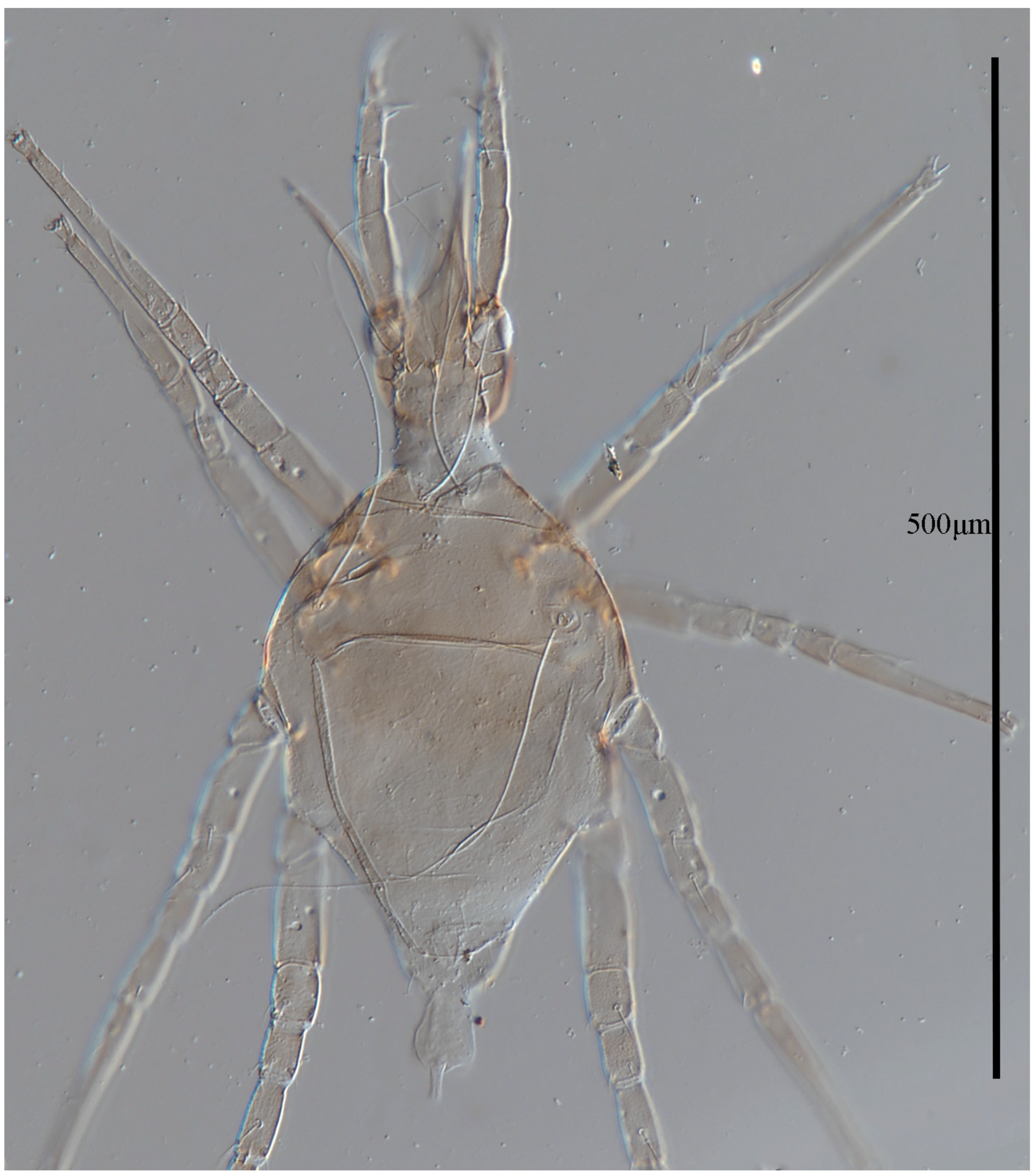 Animals 13 01363 g014 Animals 13 01363 g014