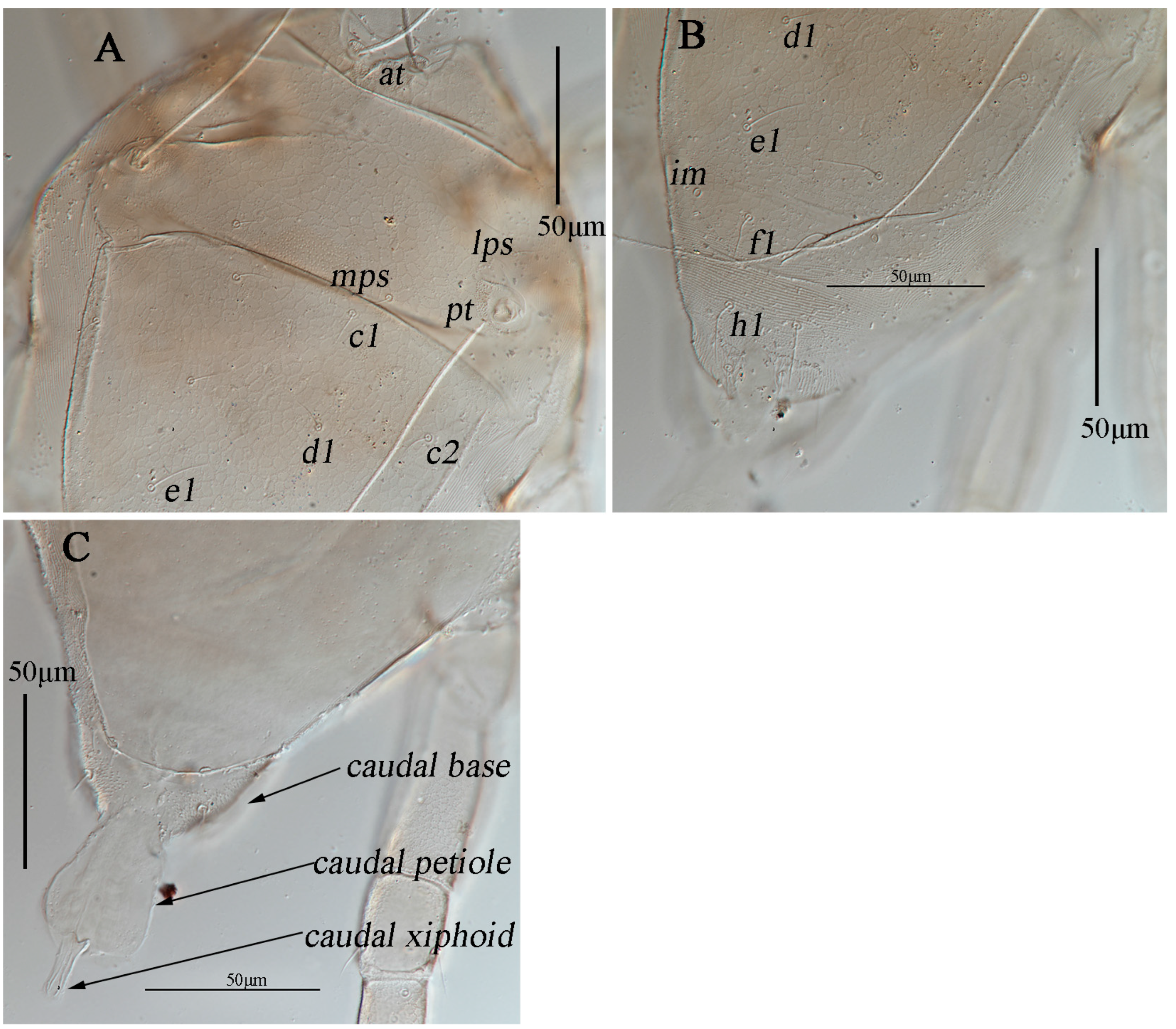 Animals 13 01363 g016 Animals 13 01363 g016