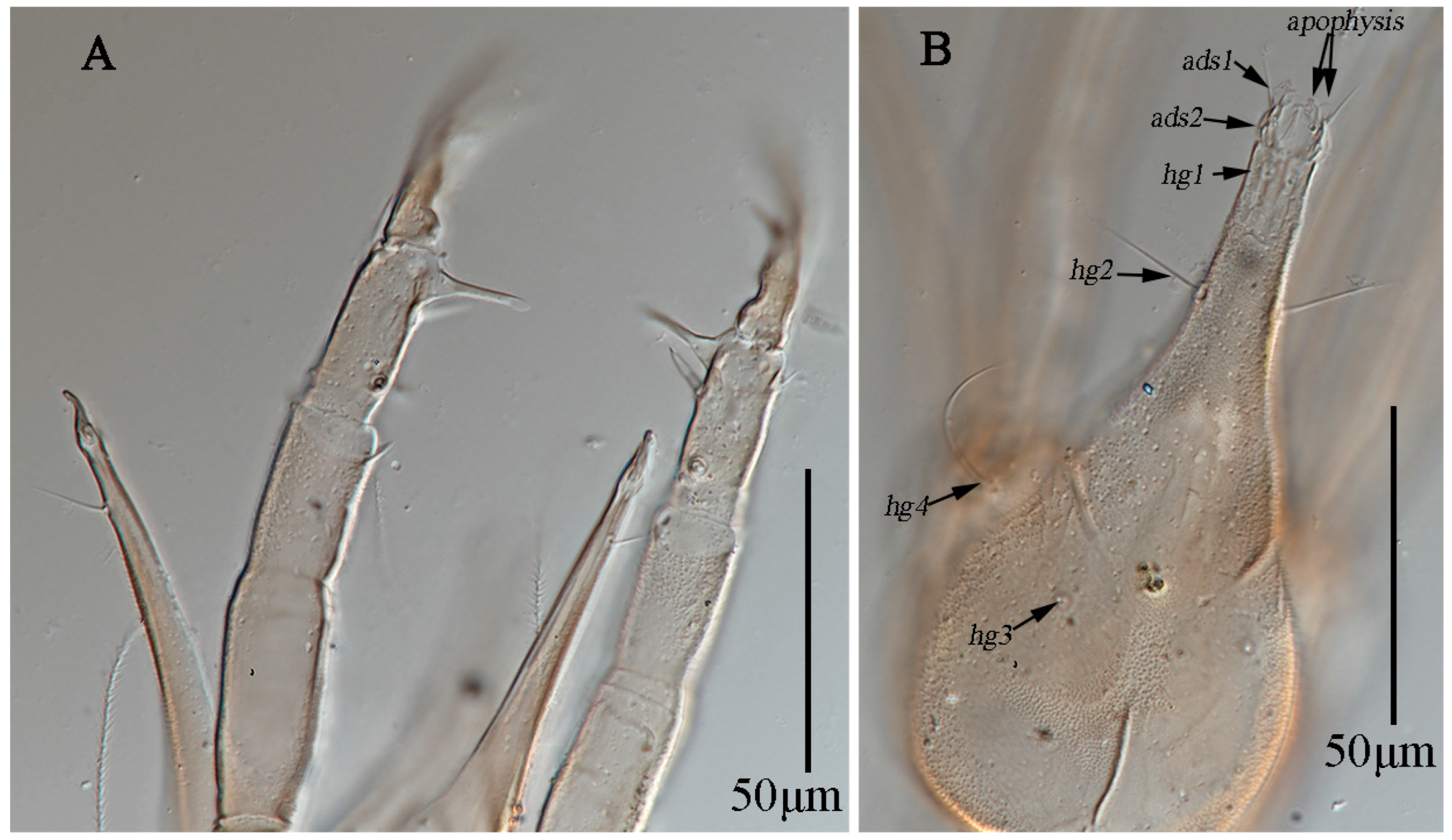 Animals 13 01363 g019 Animals 13 01363 g019