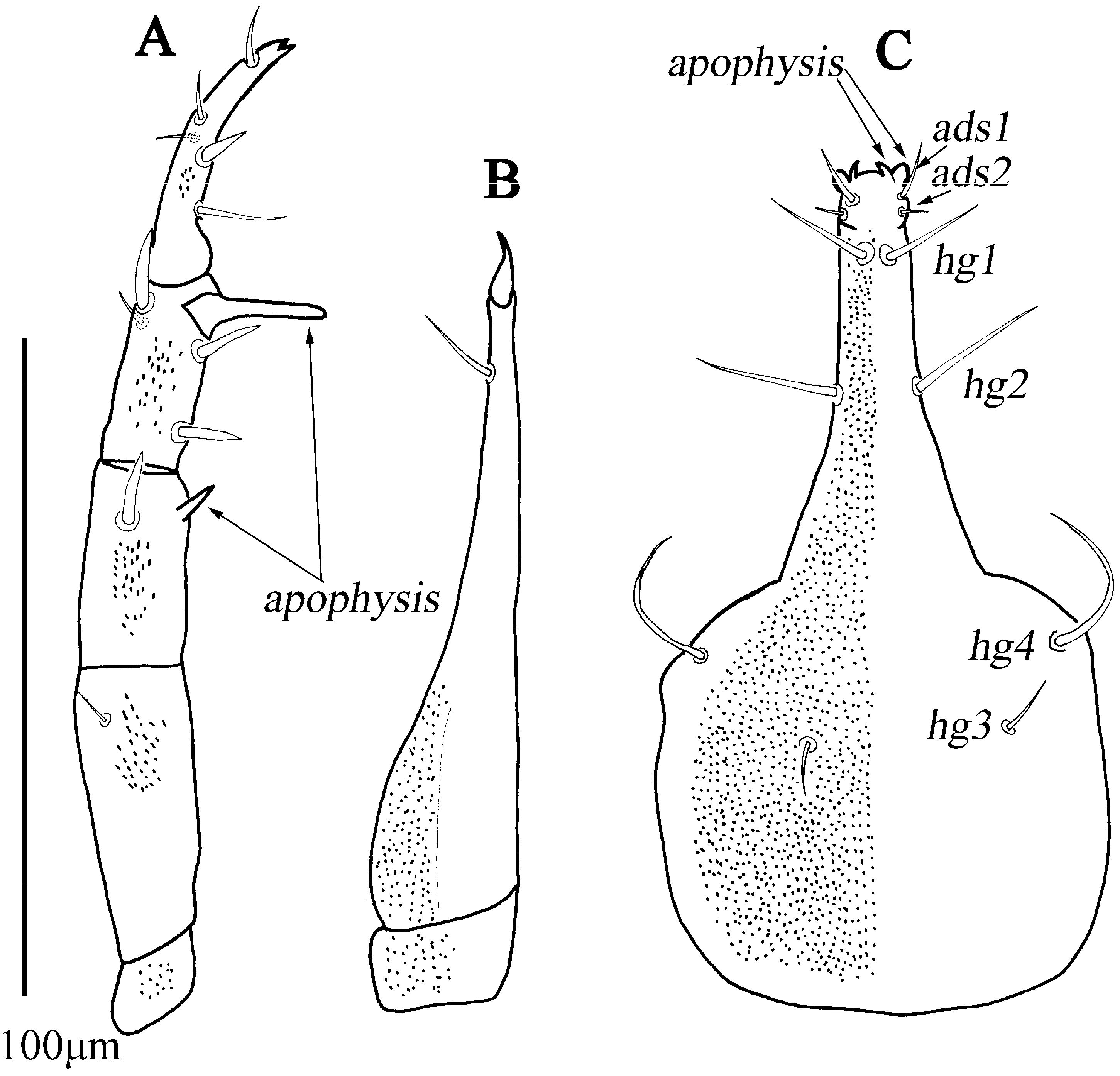 Animals 13 01363 g020 Animals 13 01363 g020