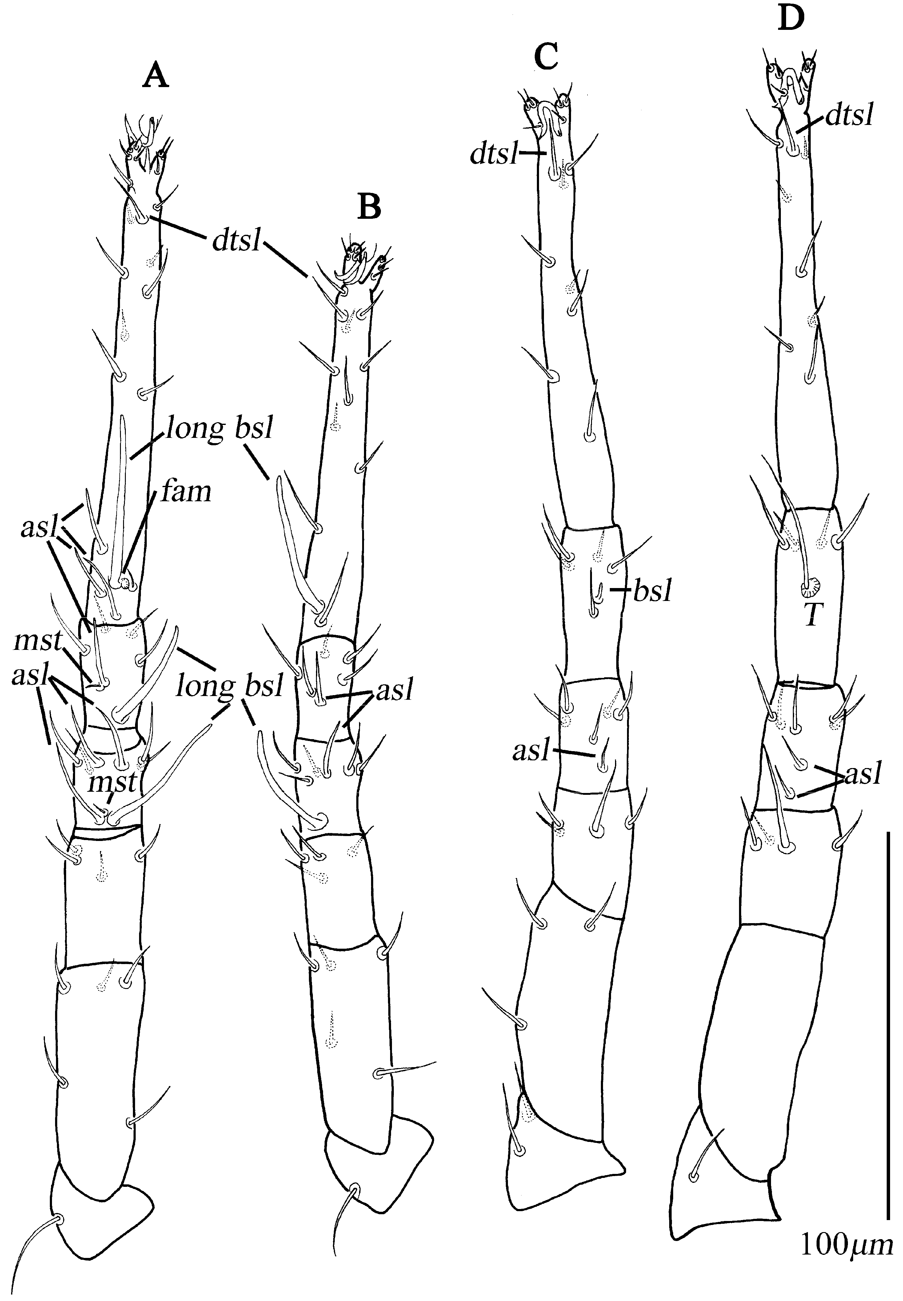 Animals 13 01363 g021 Animals 13 01363 g021
