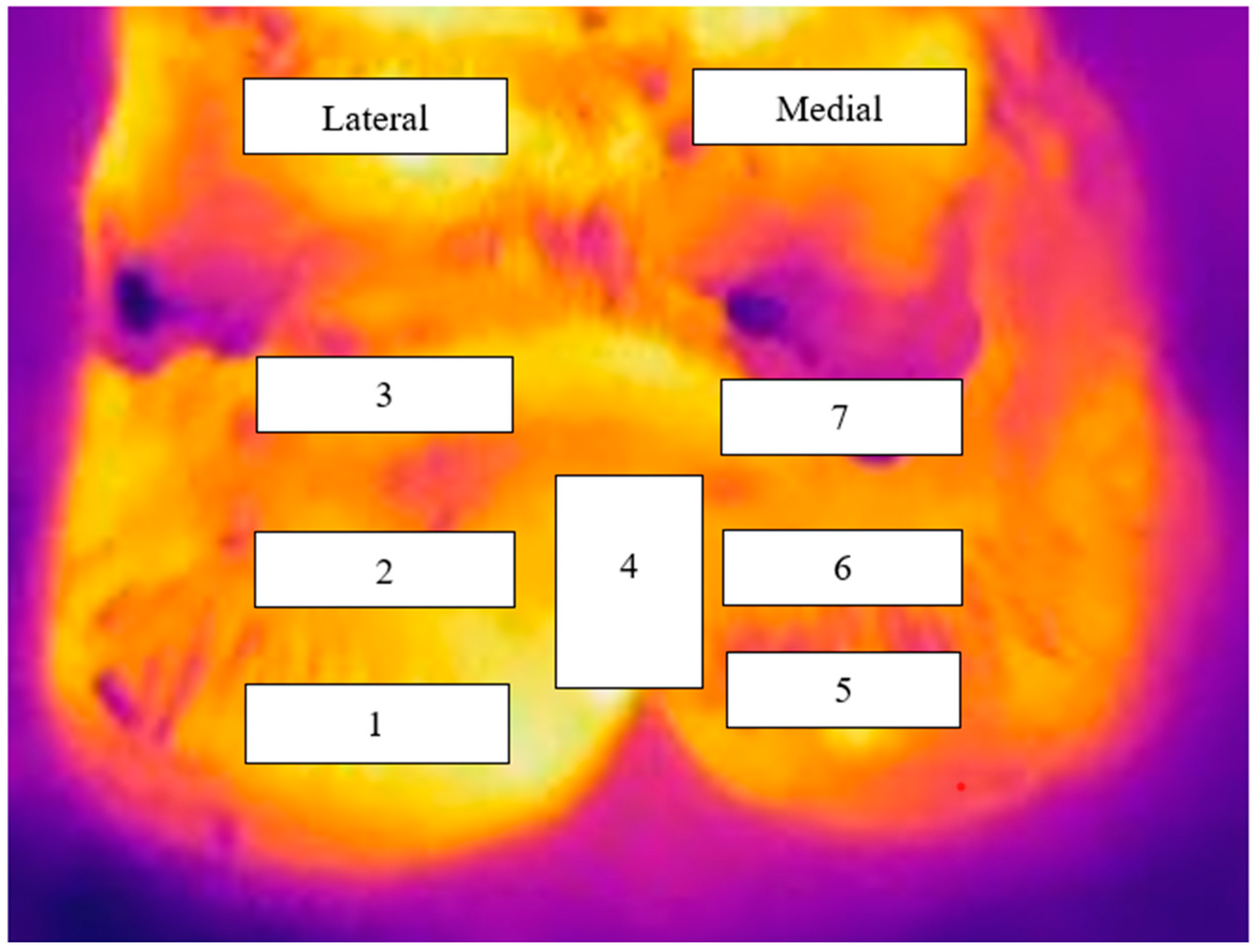 Animals 13 01372 g001 Animals 13 01372 g001