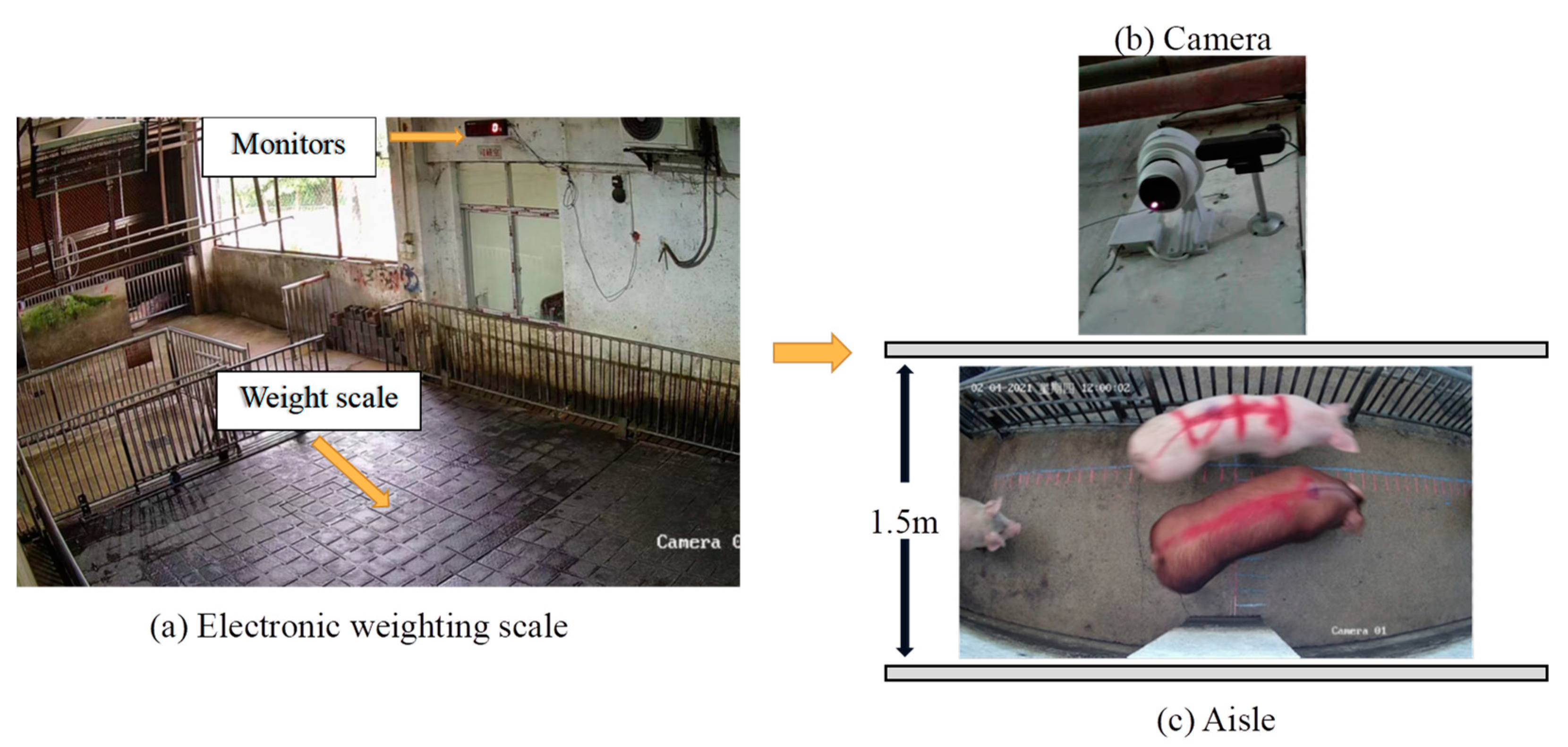 Animals 13 01376 g002 Animals 13 01376 g002