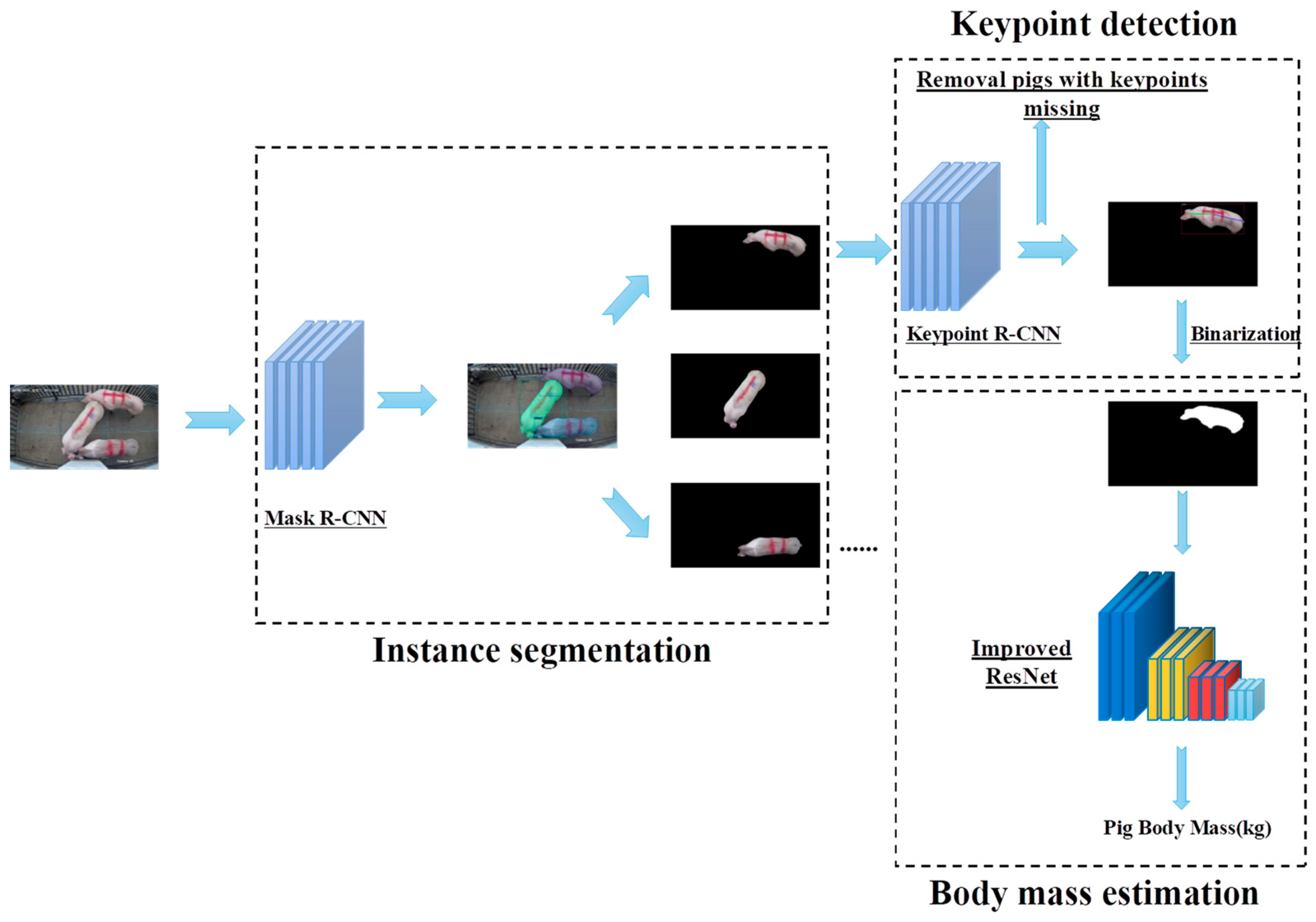 Animals 13 01376 g005 Animals 13 01376 g005