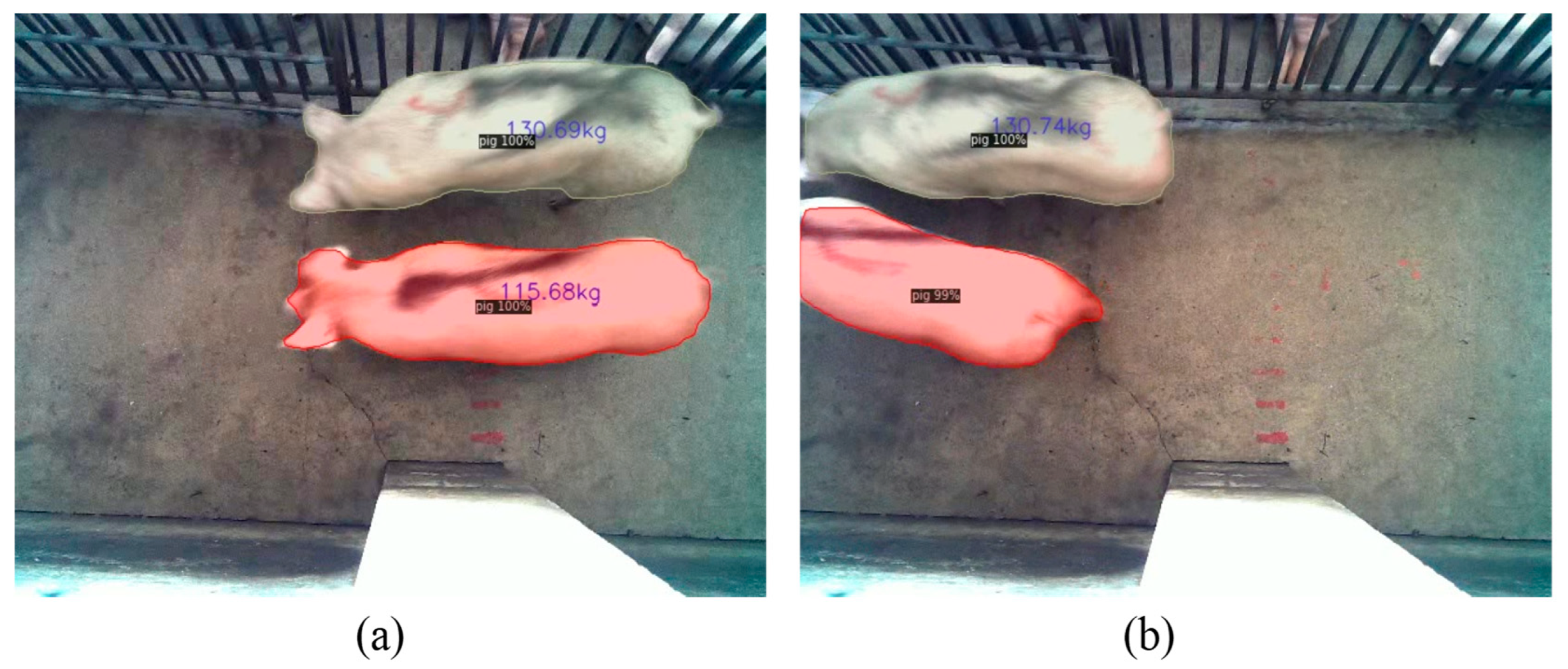 Animals 13 01376 g017 Animals 13 01376 g017