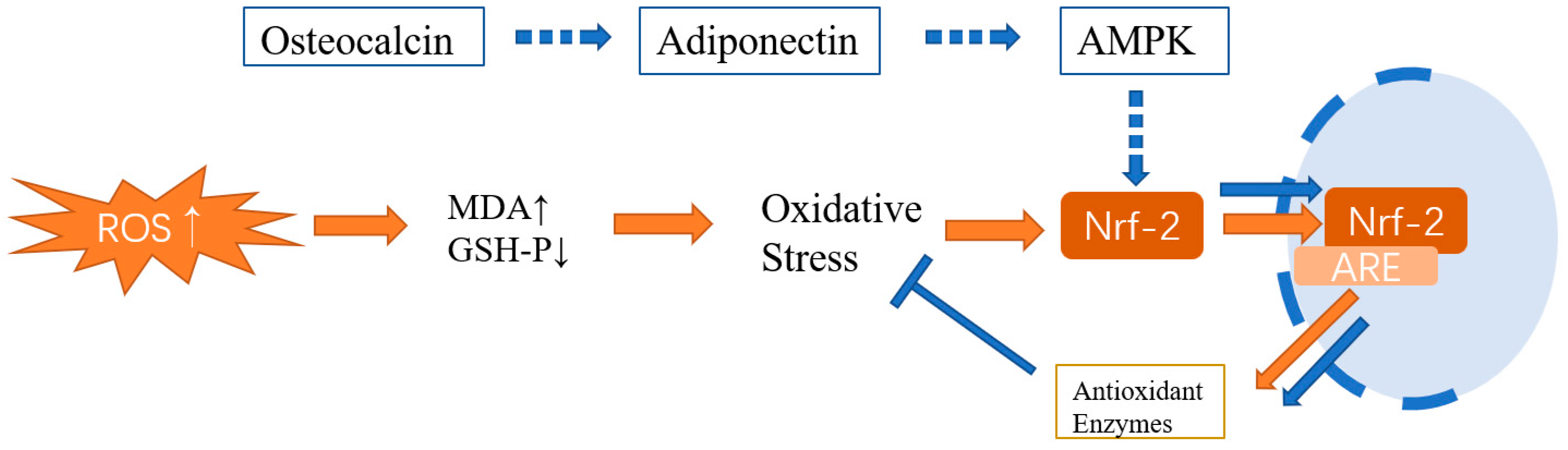 Animals 13 01380 g004