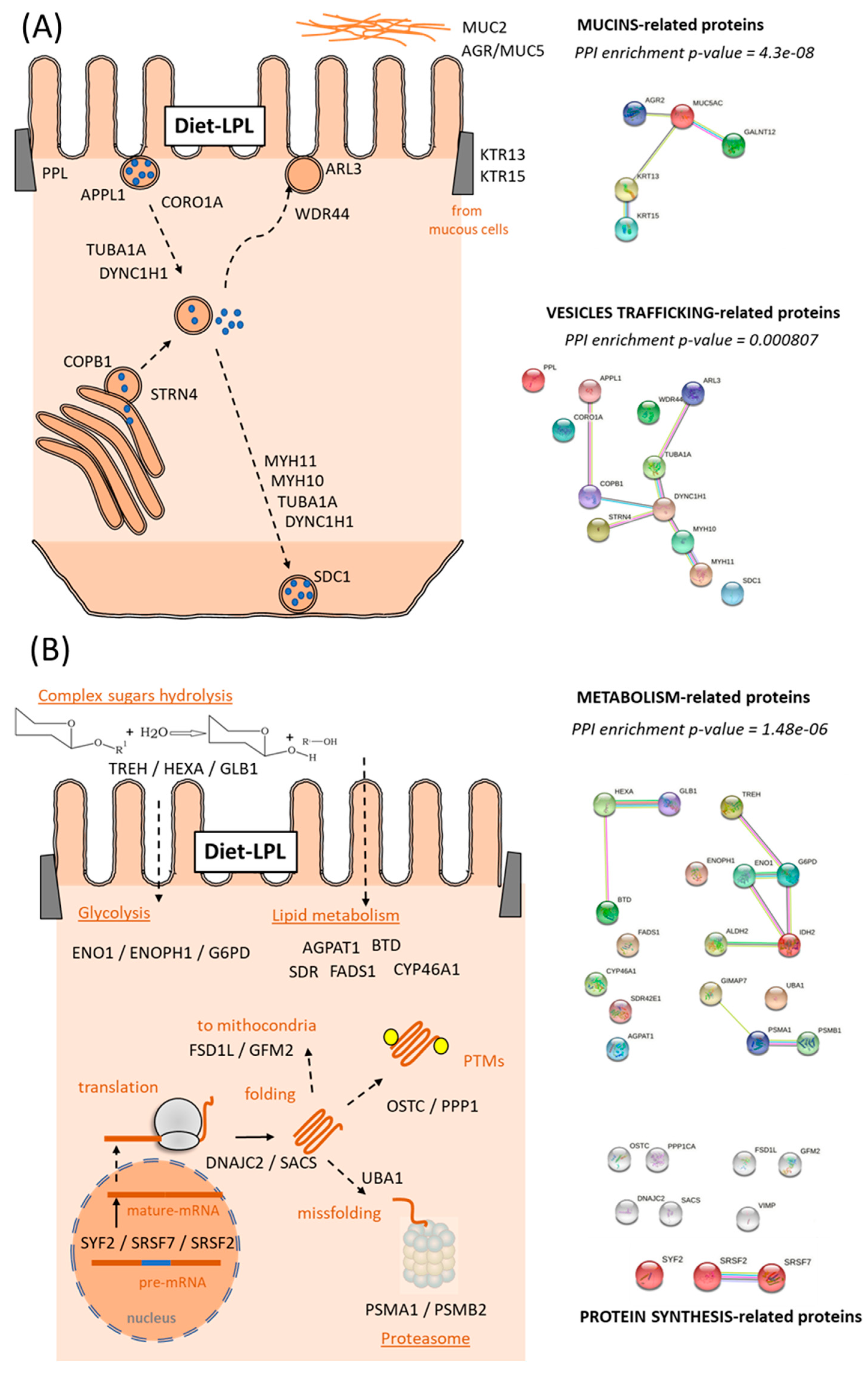 Animals 13 01381 g004 Animals 13 01381 g004
