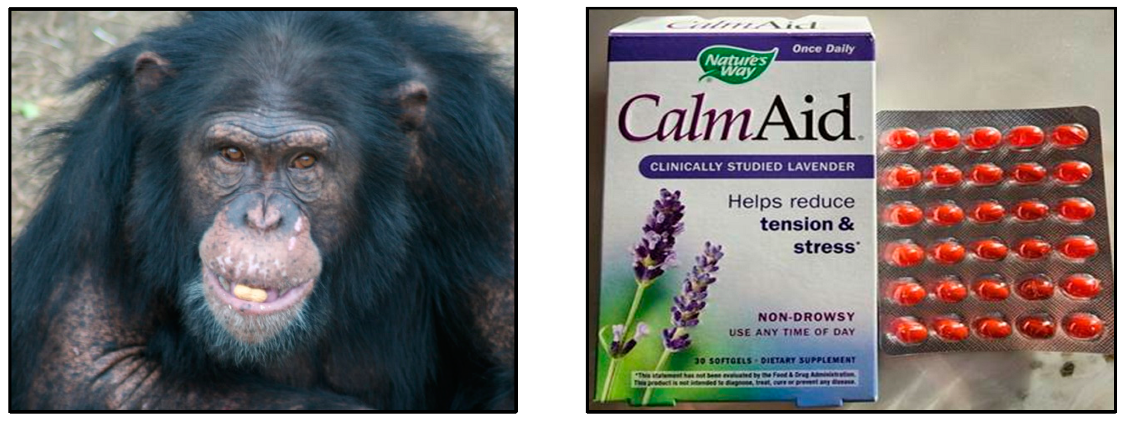 Animals 13 01382 g001 Animals 13 01382 g001