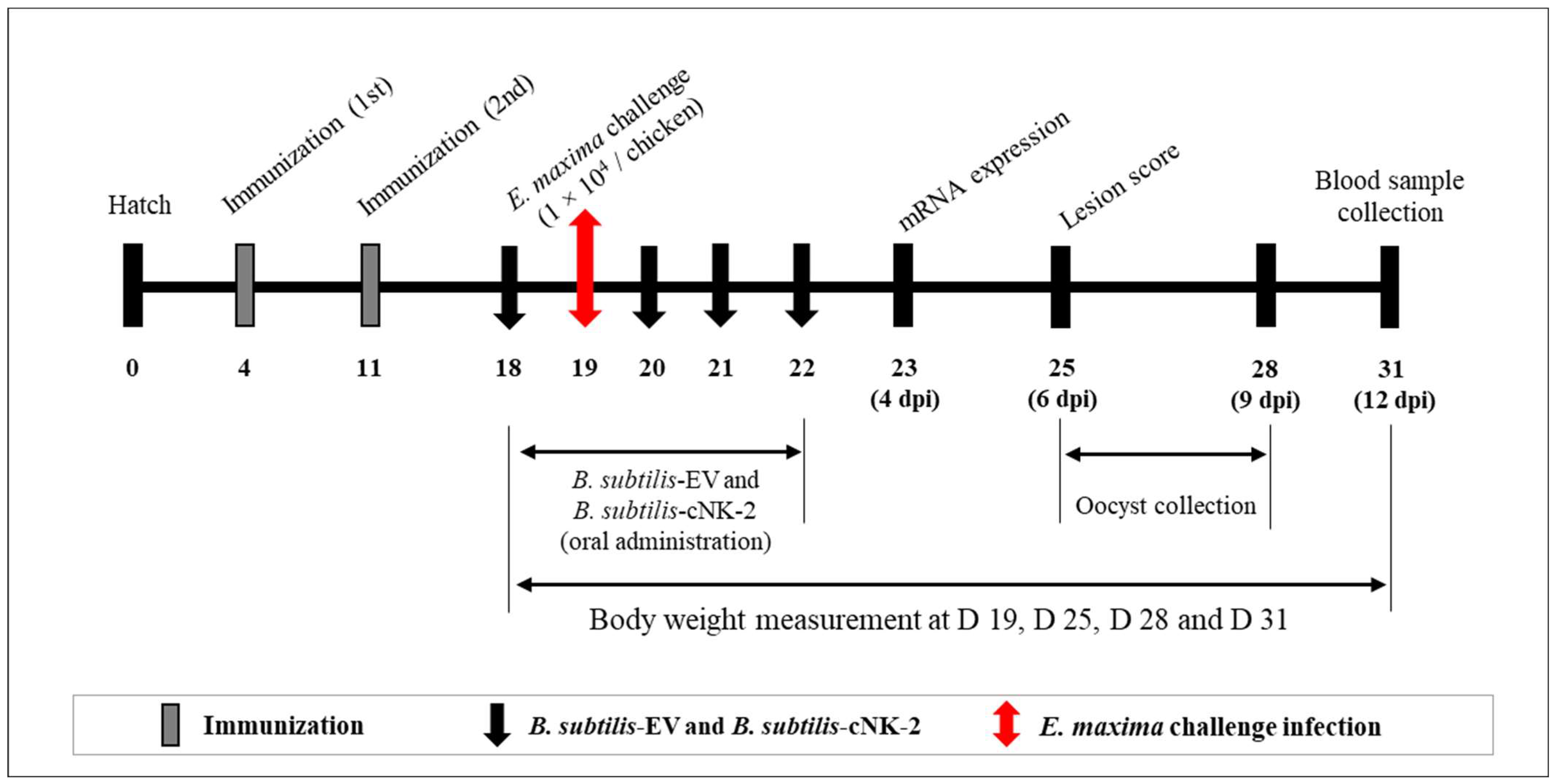Animals 13 01383 g001 Animals 13 01383 g001