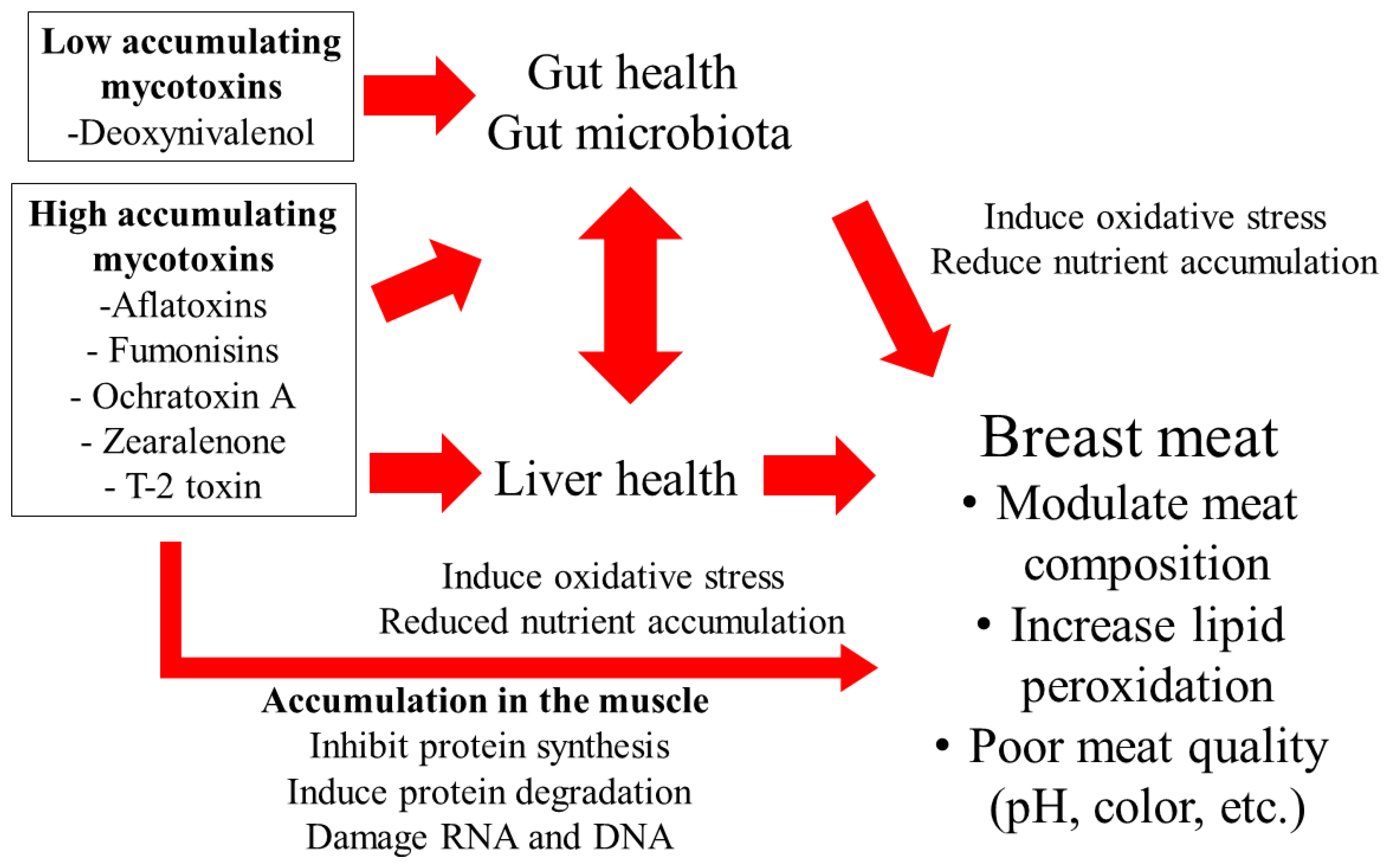 Animals 13 01386 g001 Animals 13 01386 g001