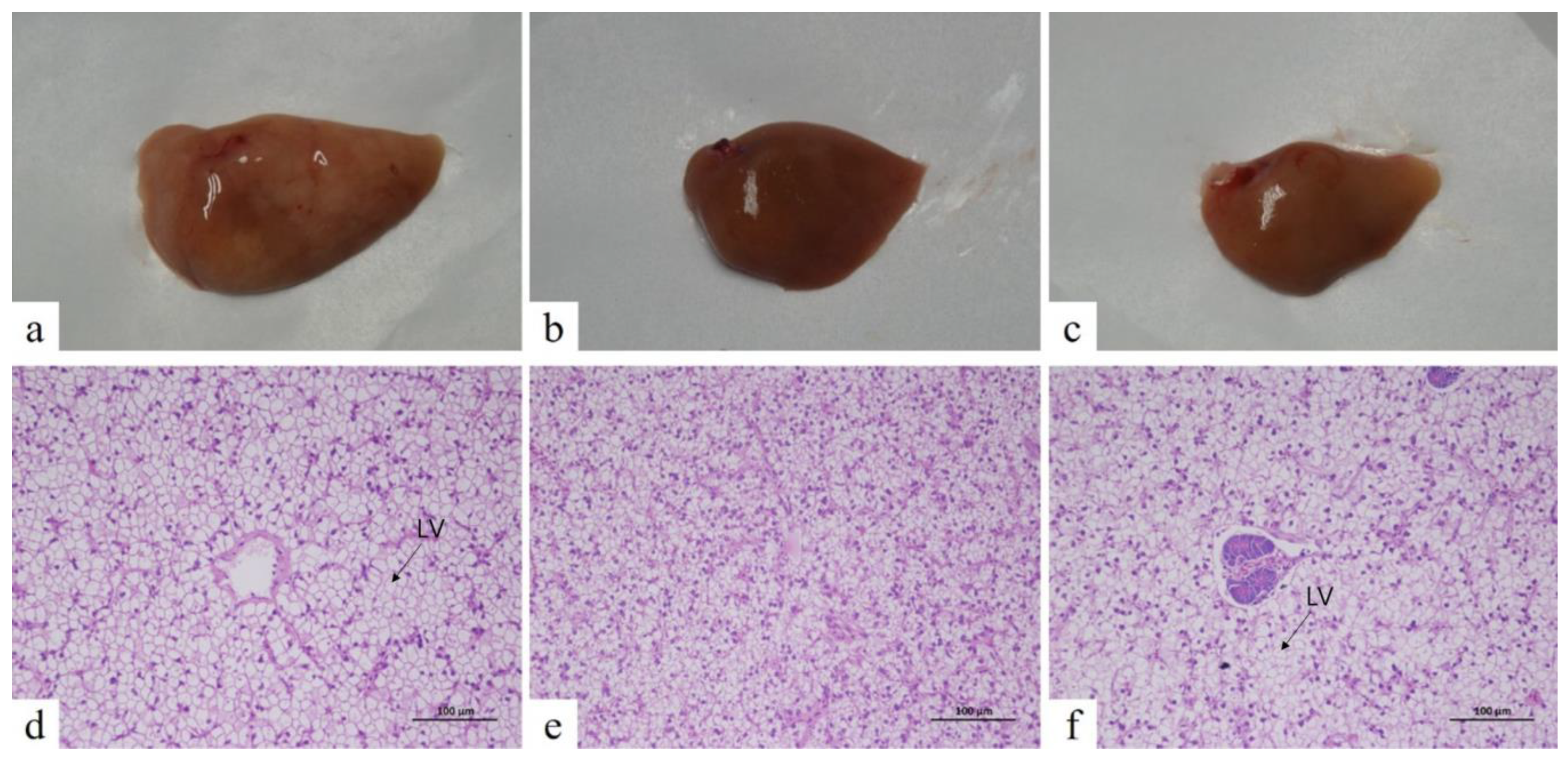 Animals 13 01389 g005