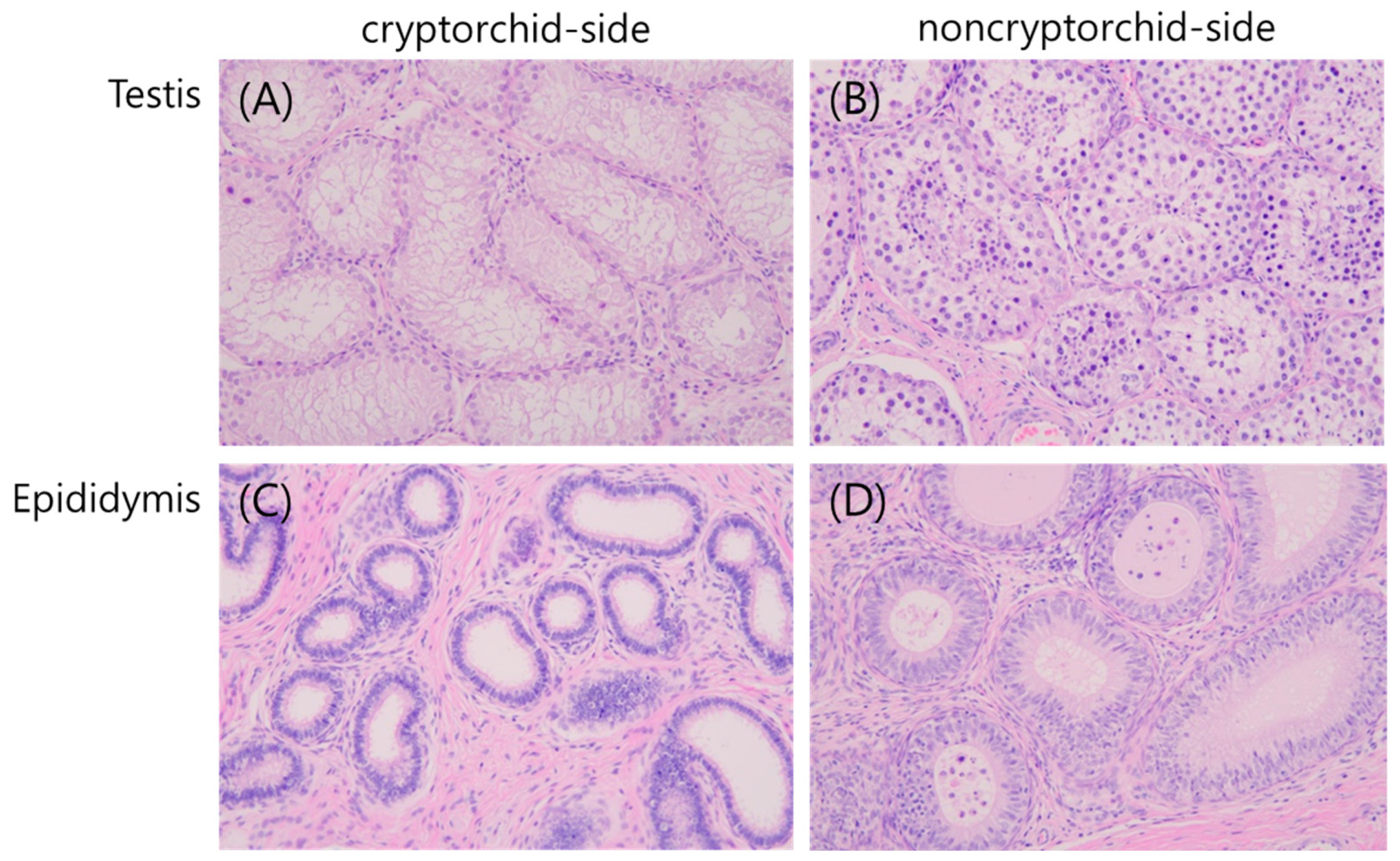 Animals 13 01390 g001
