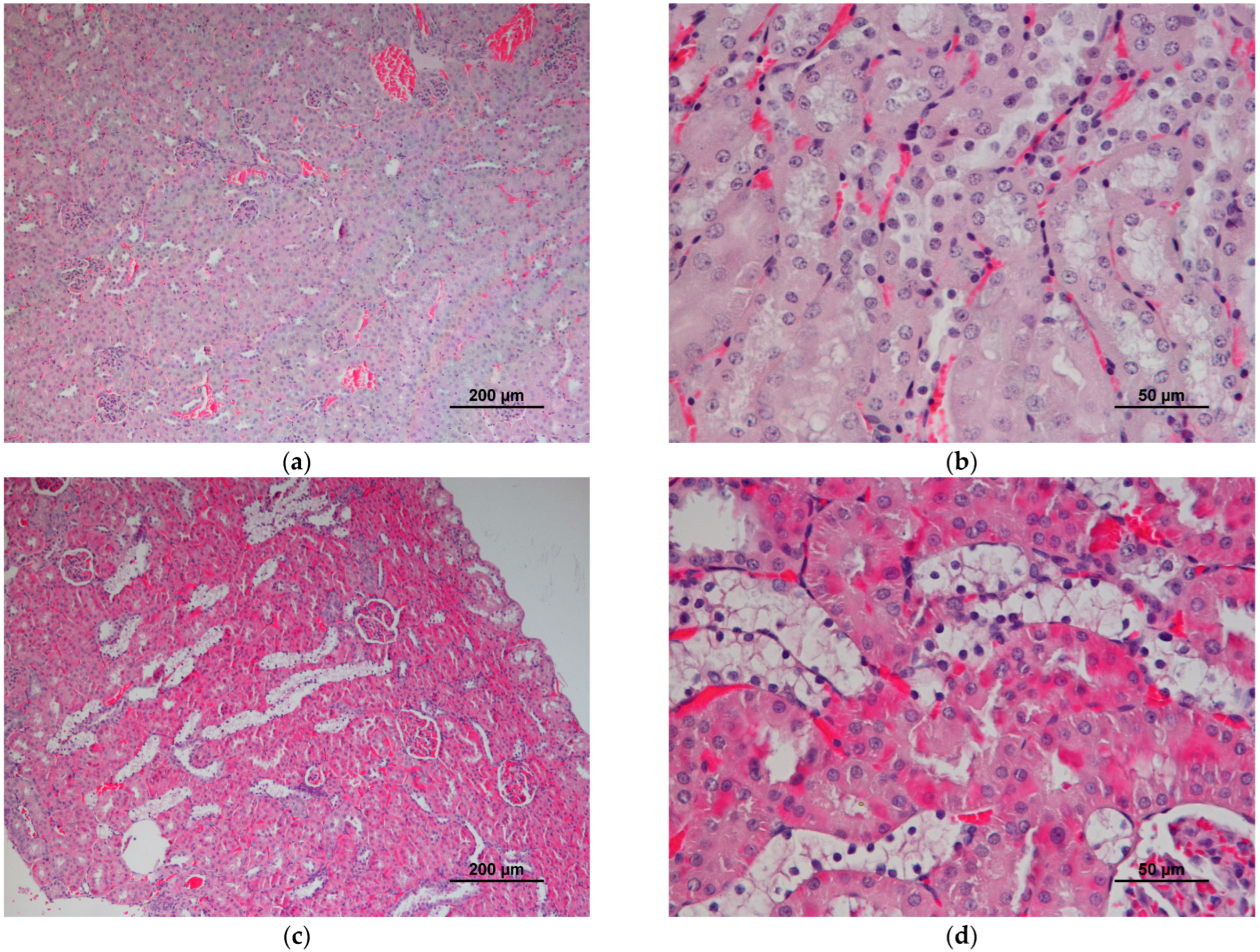 Animals 13 01397 g006