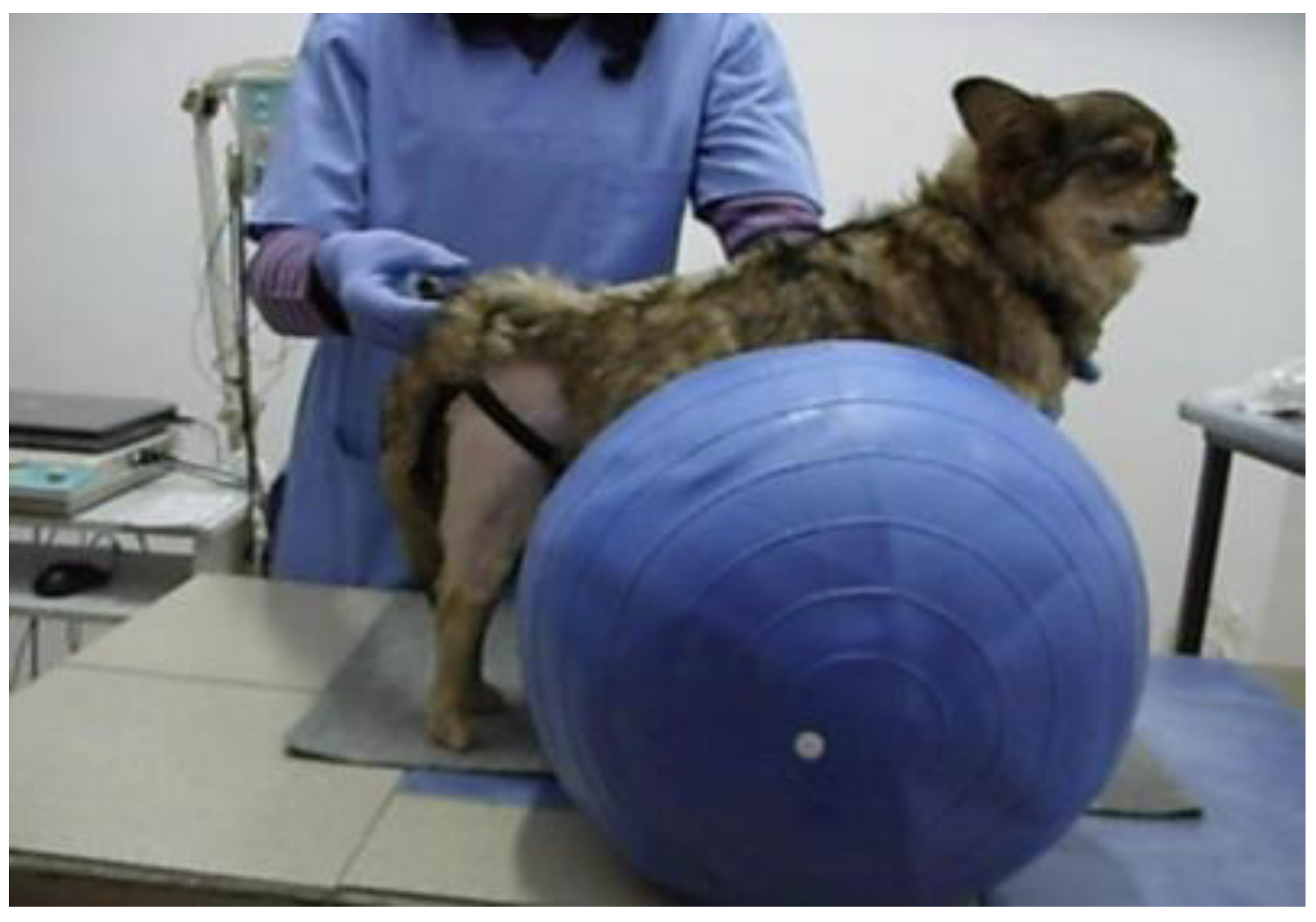 Animals 13 01398 g005