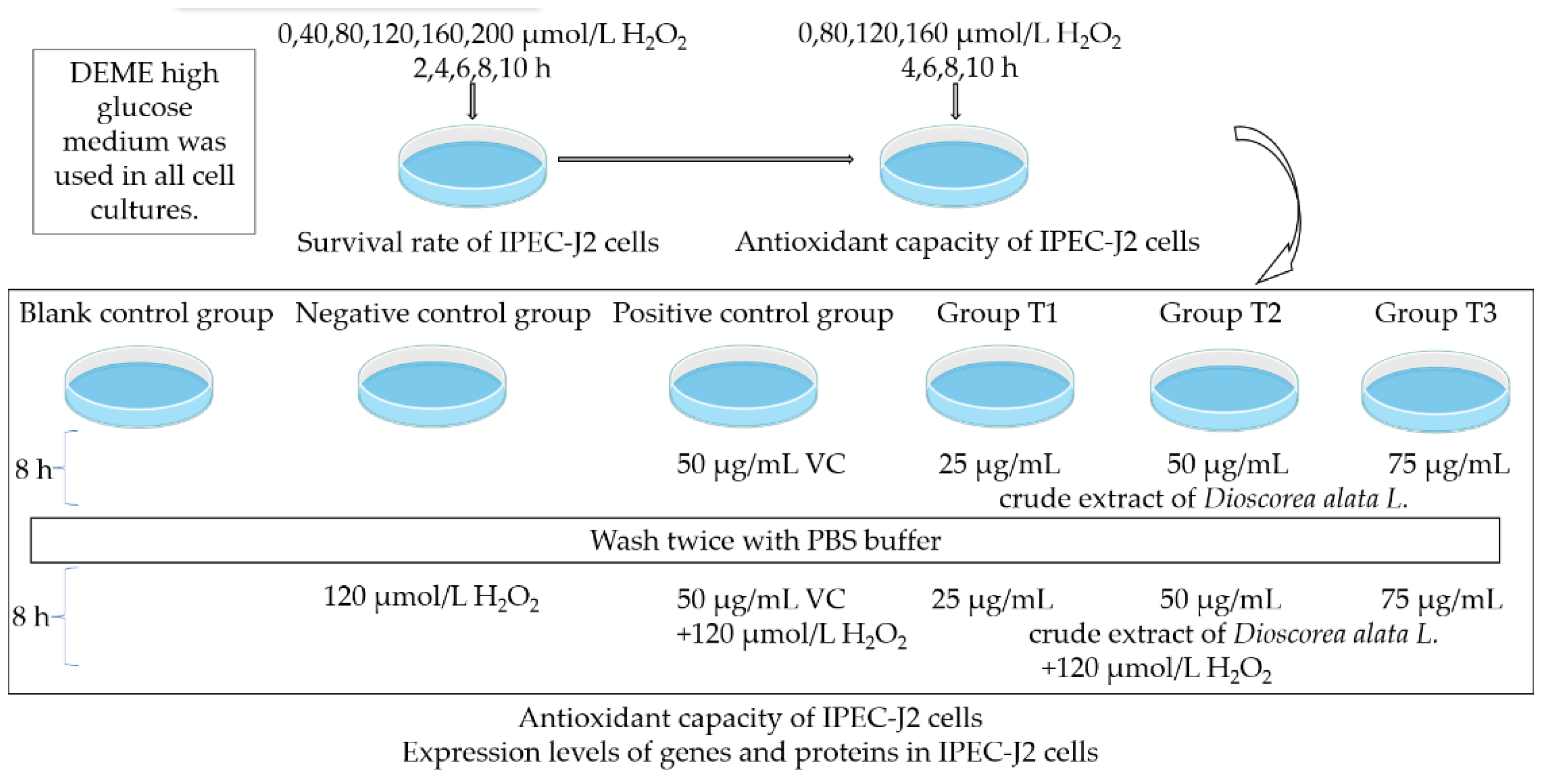 Animals 13 01401 g001