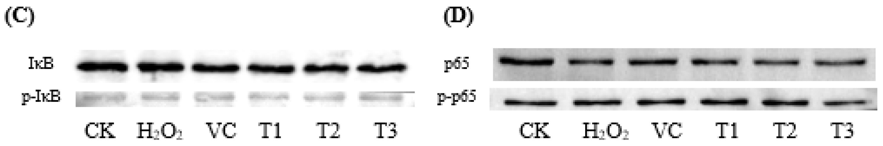 Animals 13 01401 g006b