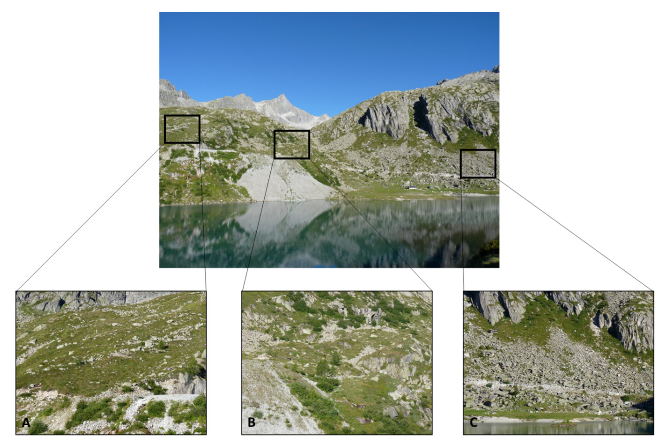 Animals 13 01407 g001 Animals 13 01407 g001