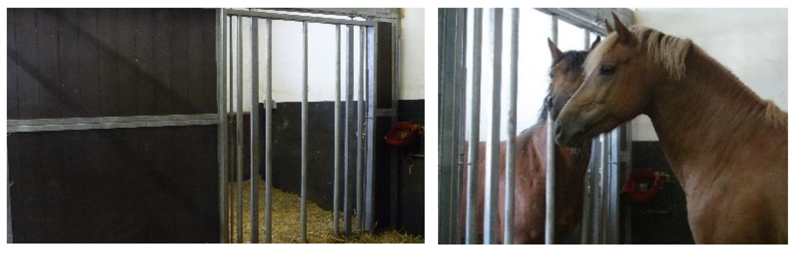 Animals 13 01408 g002 Animals 13 01408 g002