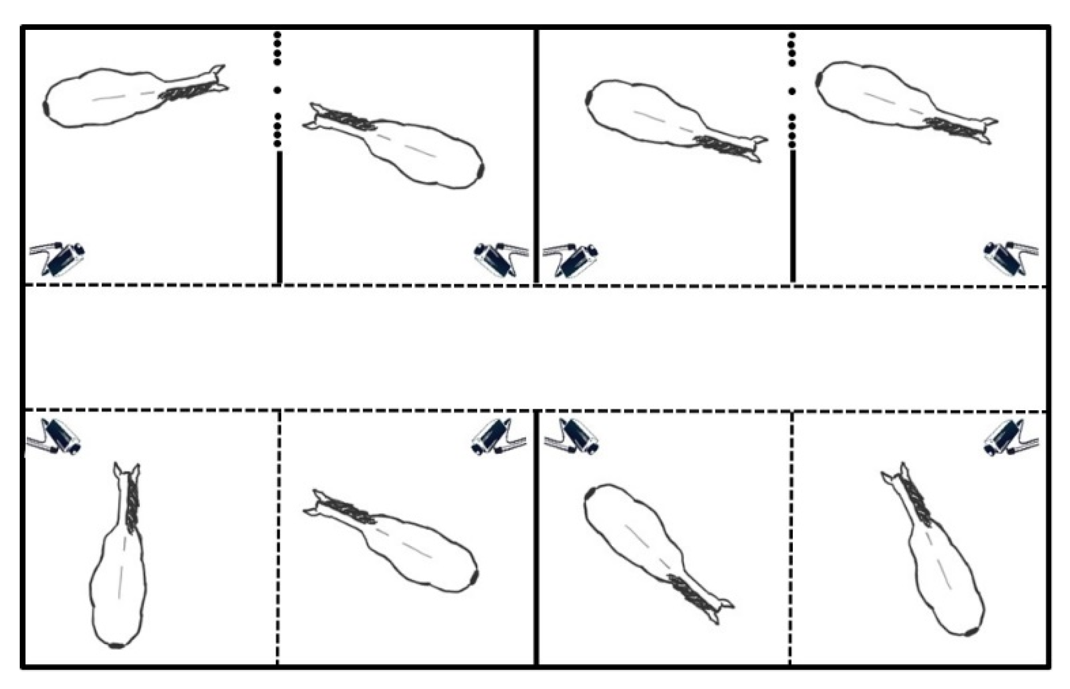 Animals 13 01408 g003 Animals 13 01408 g003