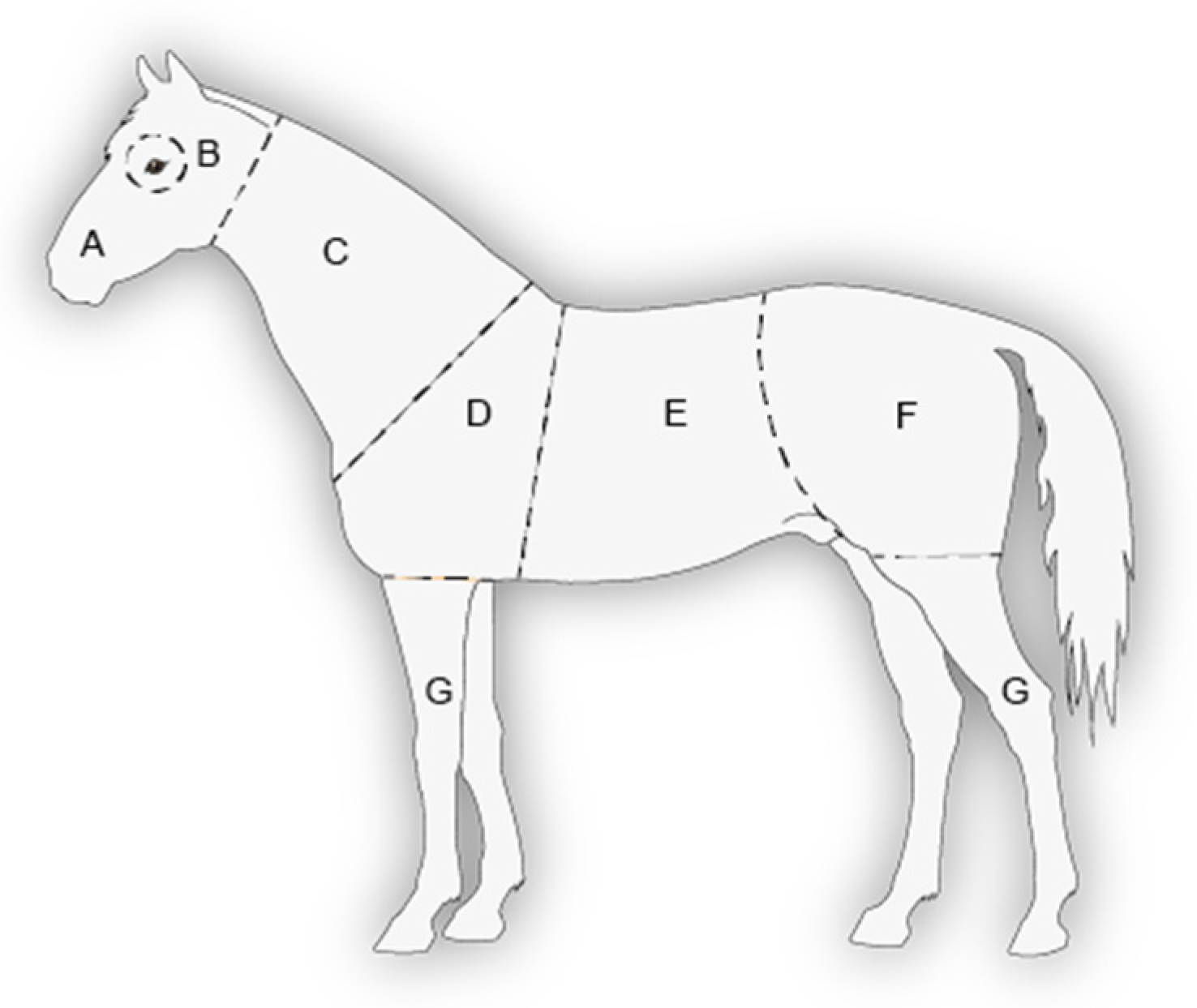 Animals 13 01408 g004 Animals 13 01408 g004