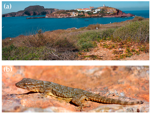 Animals 13 01413 g001 Animals 13 01413 g001