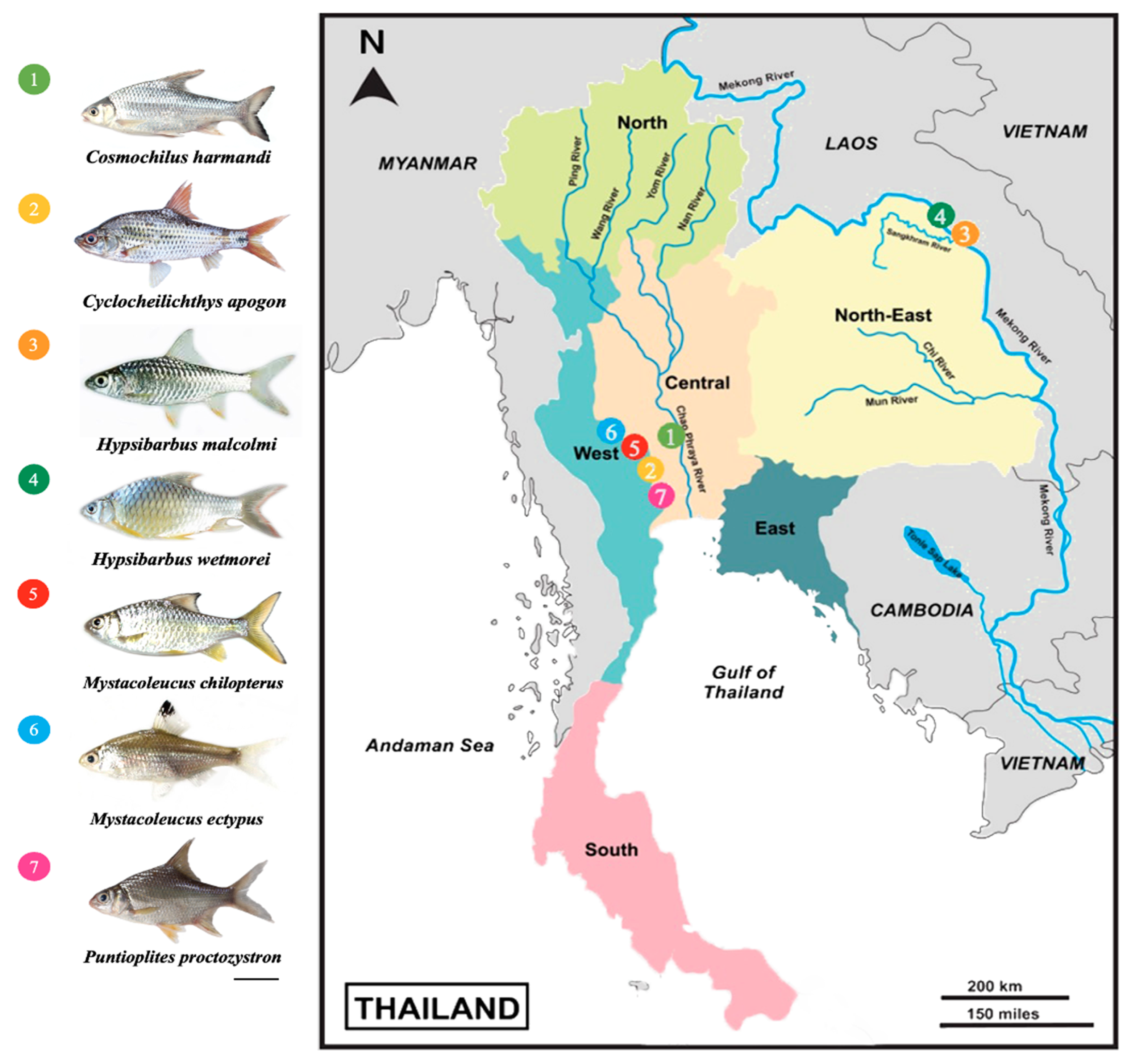 Animals 13 01415 g001