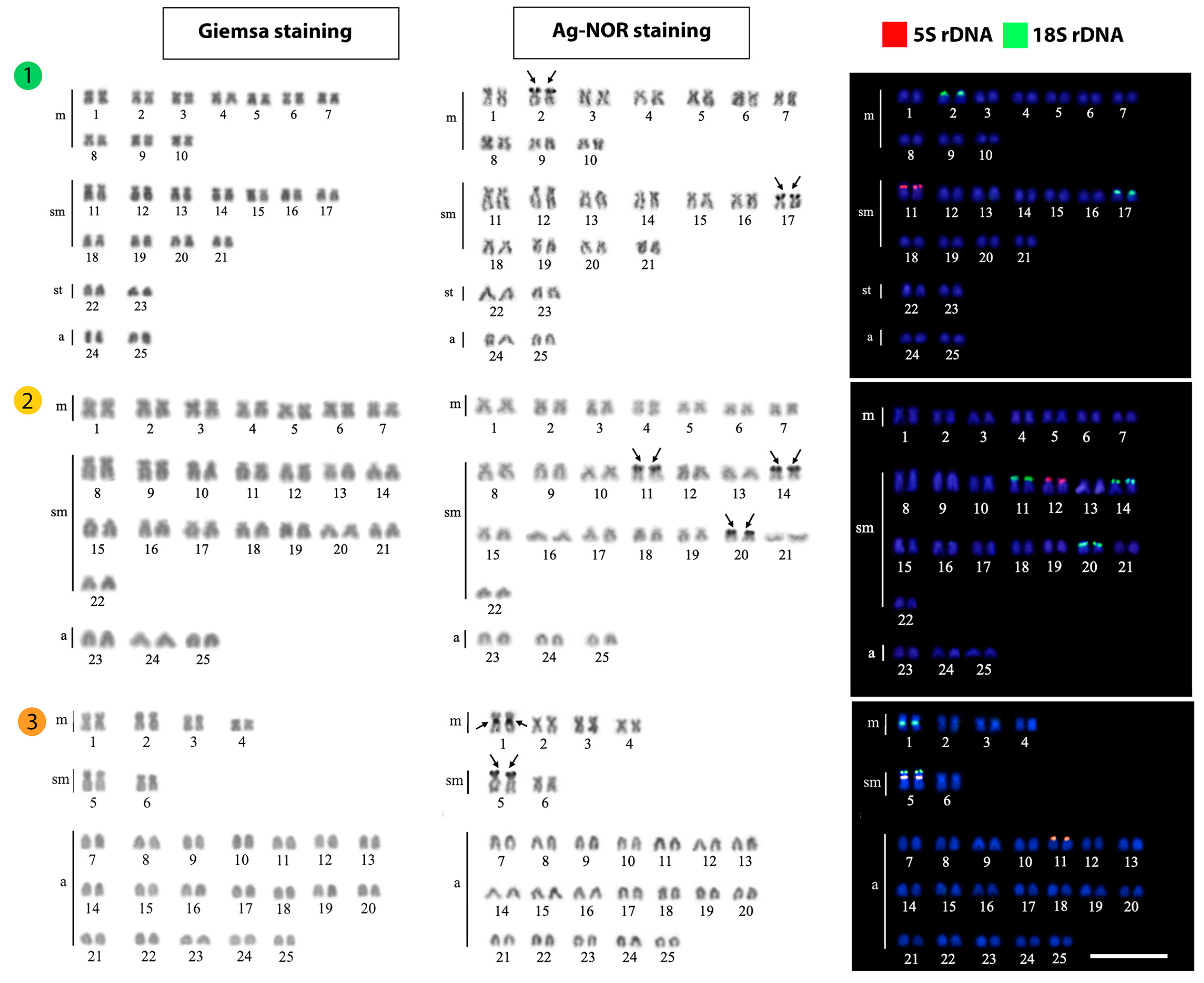 Animals 13 01415 g002