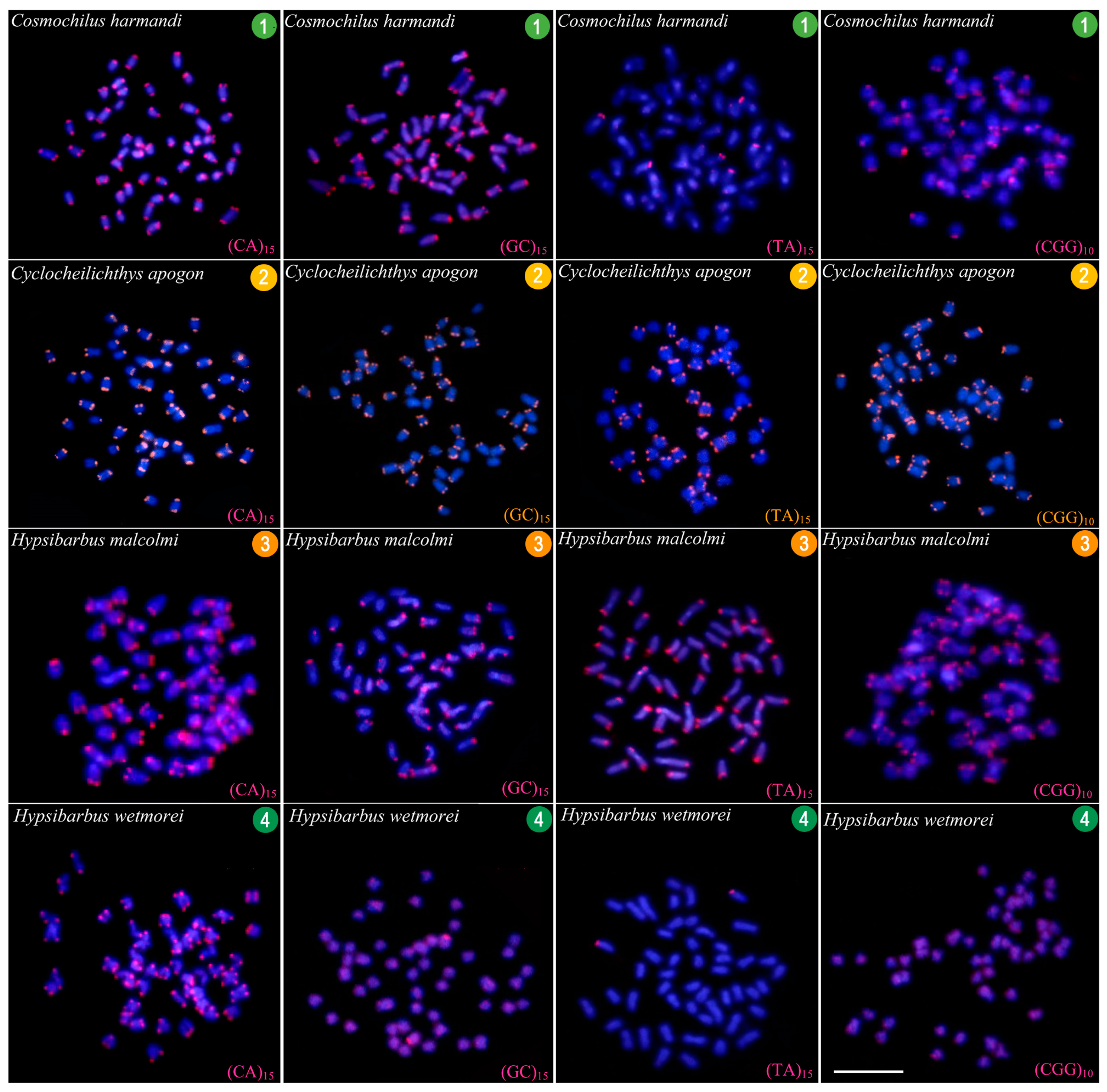 Animals 13 01415 g005