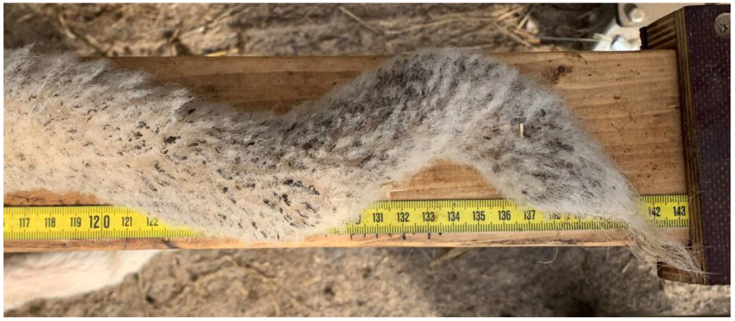 Animals 13 01419 g001