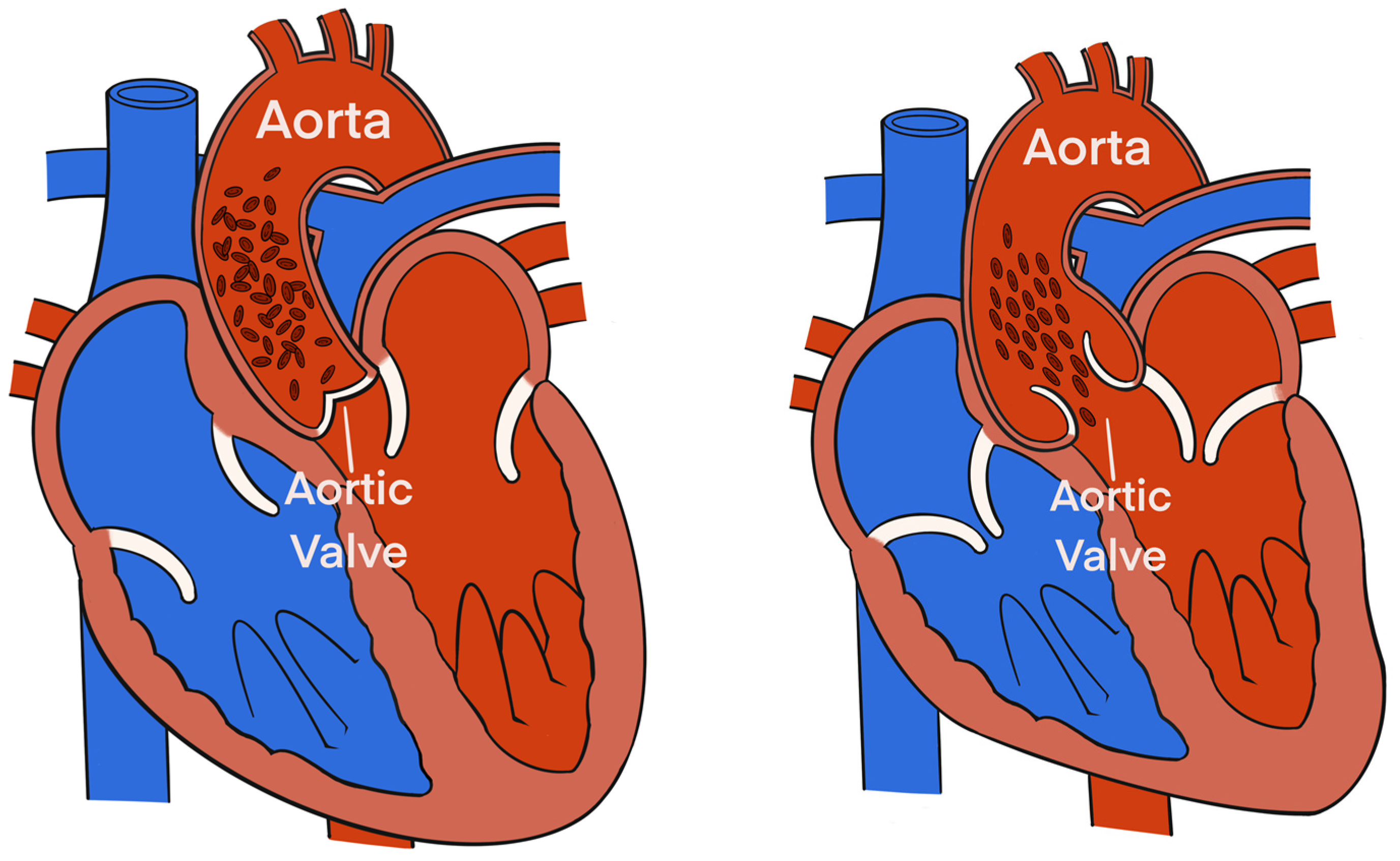 Animals 13 01420 g002